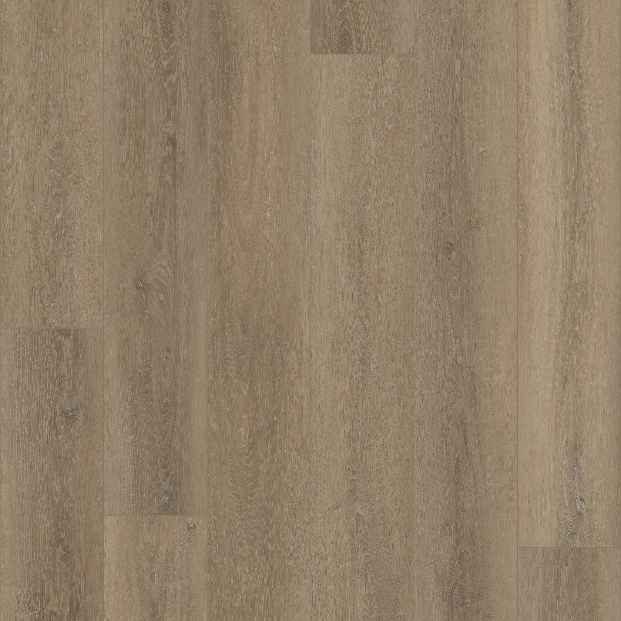 COREtec Plus GRANDE GRANDE ELLIDY OAK MAIN