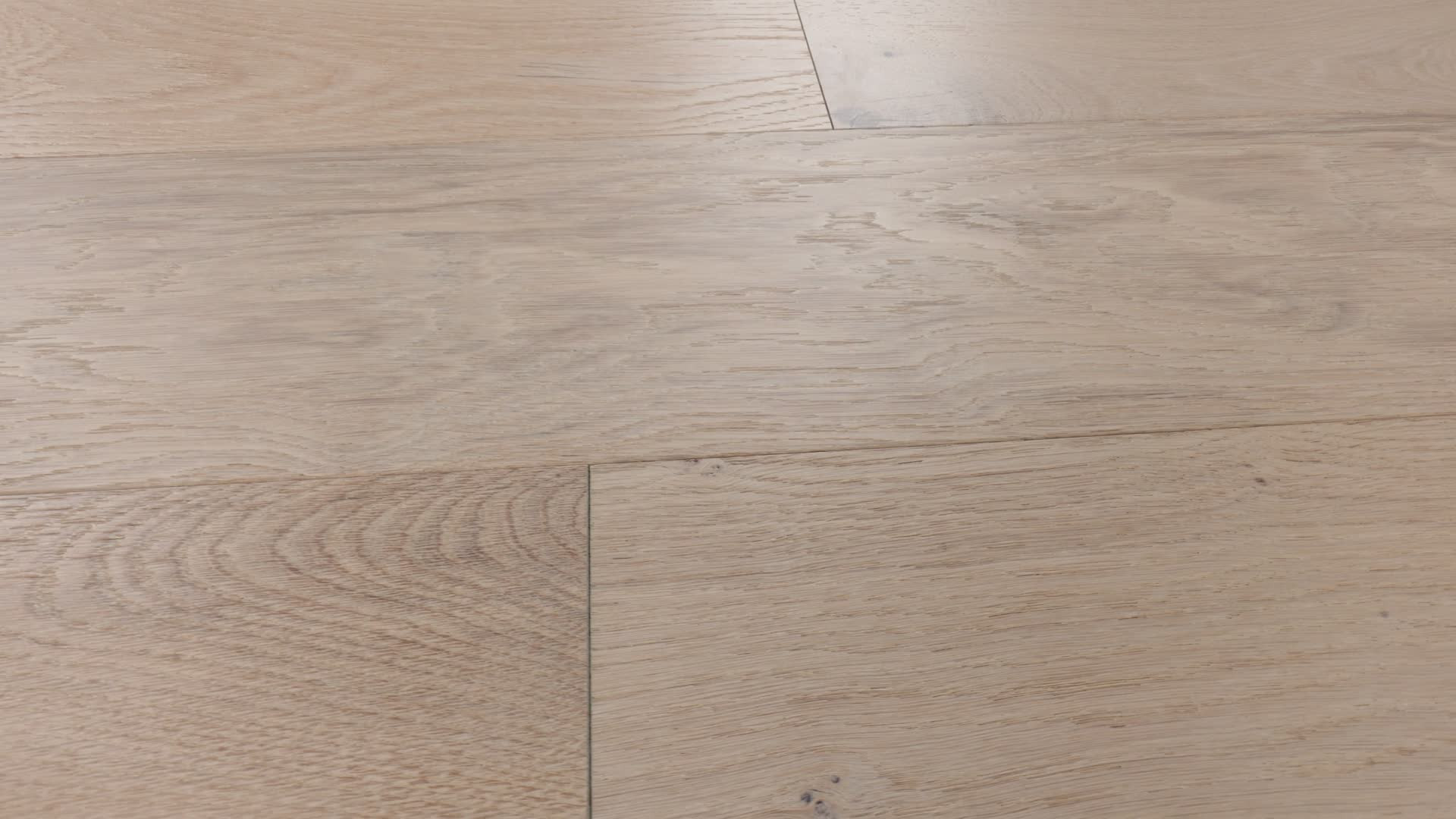 CONFECTION MACAROON 360PROD