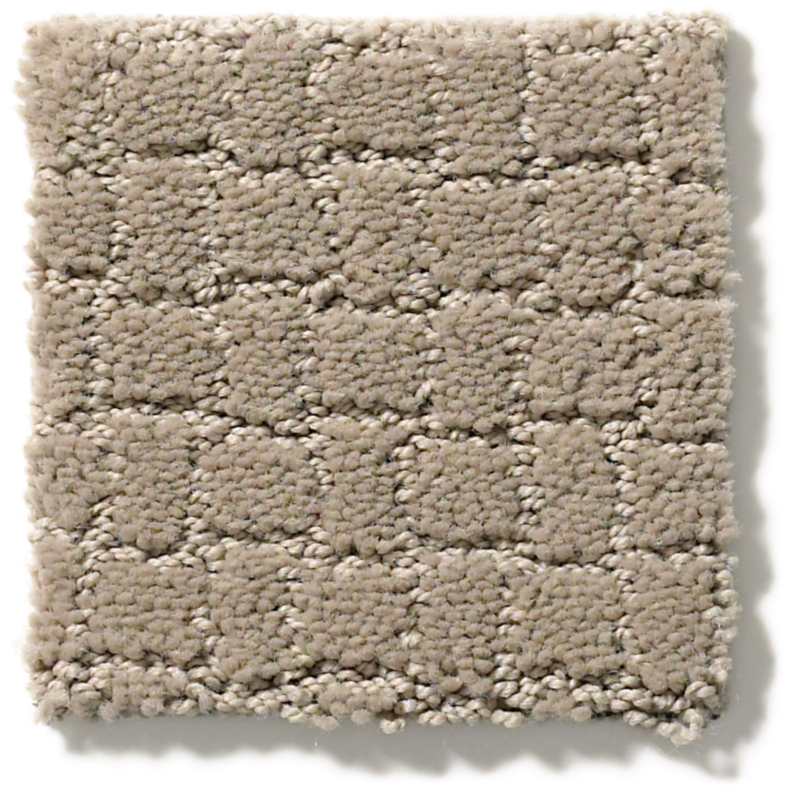 PAWSTRUCK MOCHA CREAM SWATCH