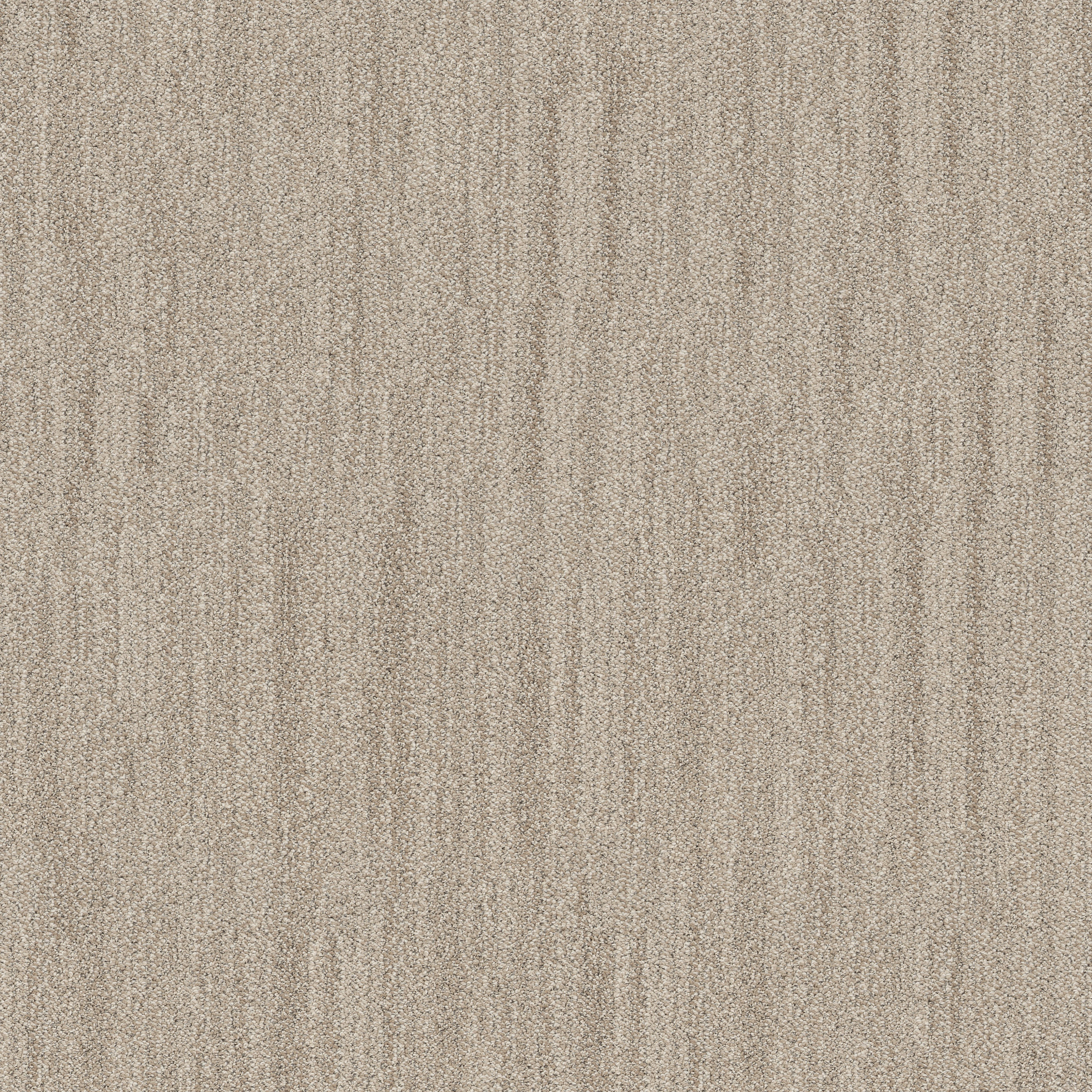 IN TEMPO CANVAS MAIN