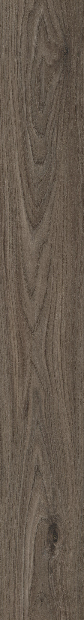 ANVIL PLUS 20 MIL DARK ELM 1TO1