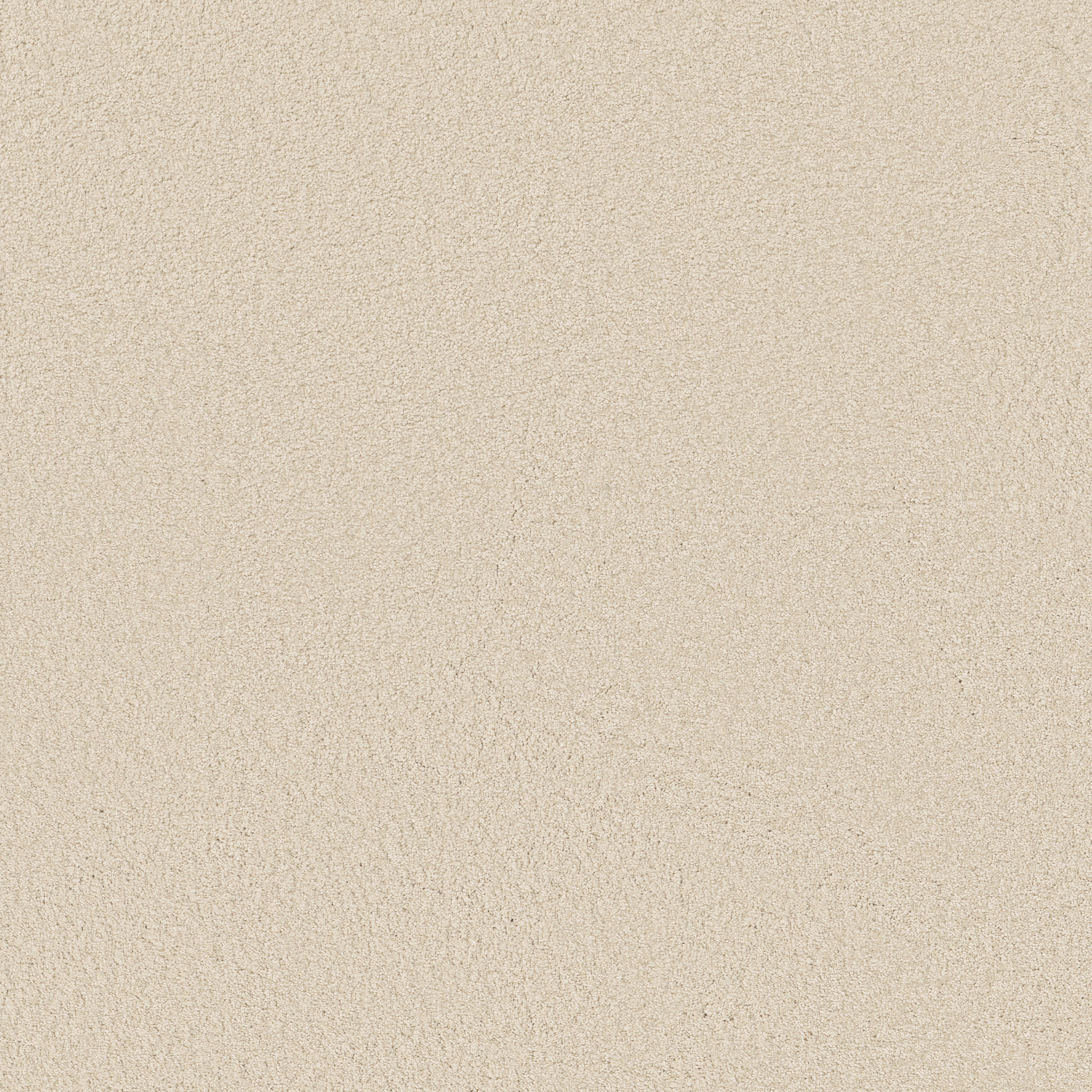 KEEN SENSES II IVORY PAPER MAIN