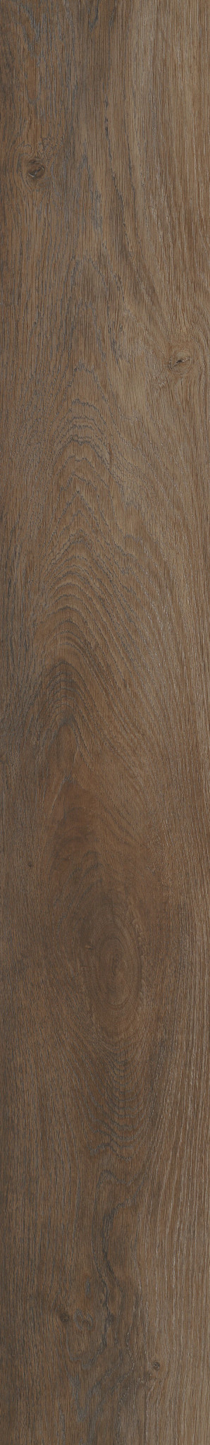 ANVIL PLUS HIGHLIGHT OAK 1TO1