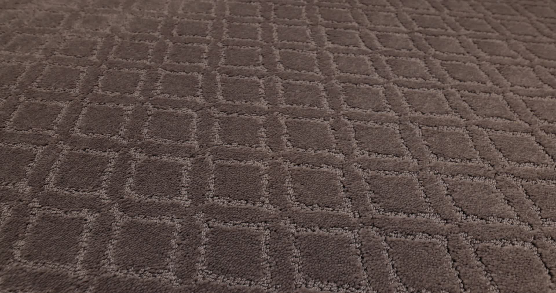 MUSE CHANTRELLE 360PROD