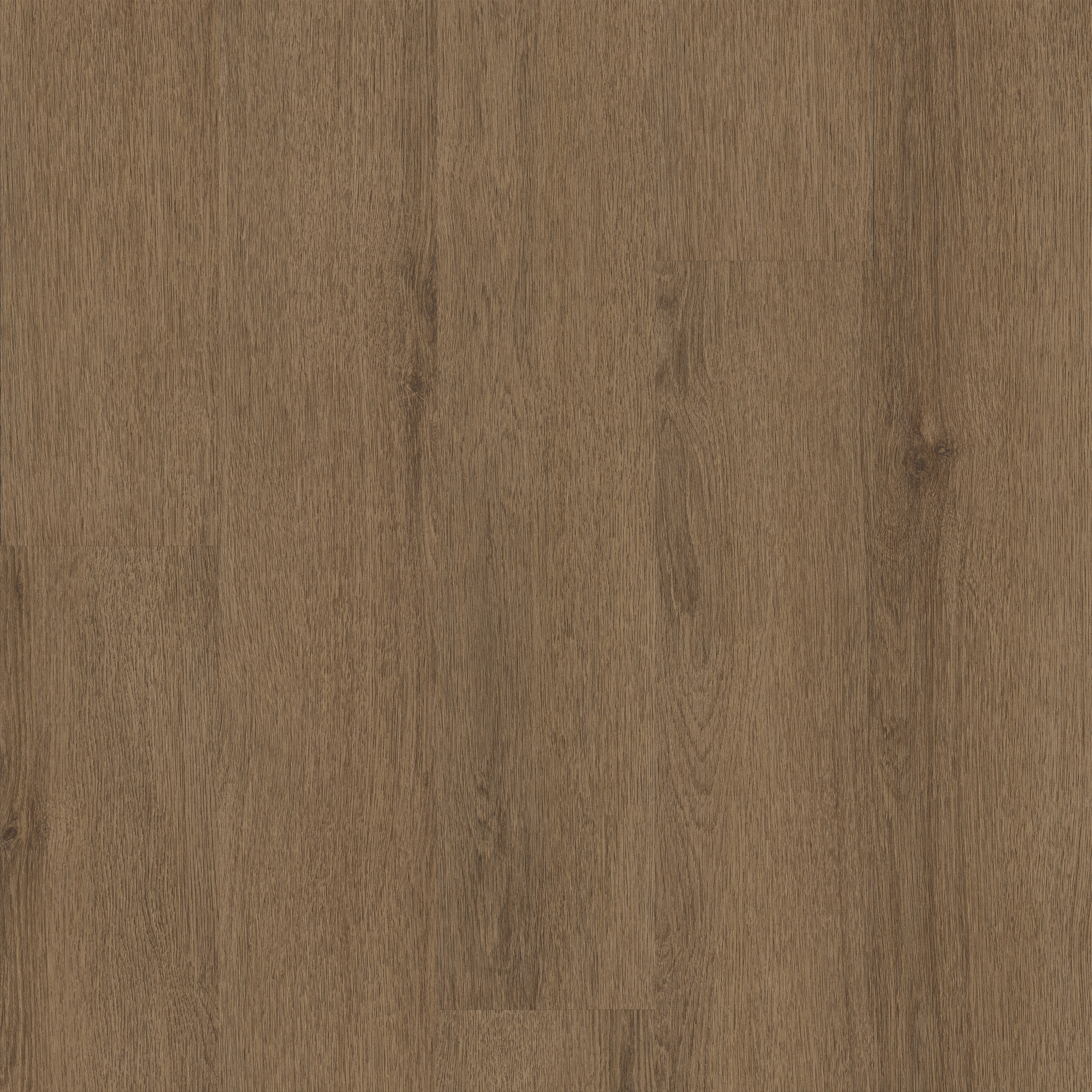 INDWELL-II-8-5721V-SEPIA-BROWN-07313-main-image