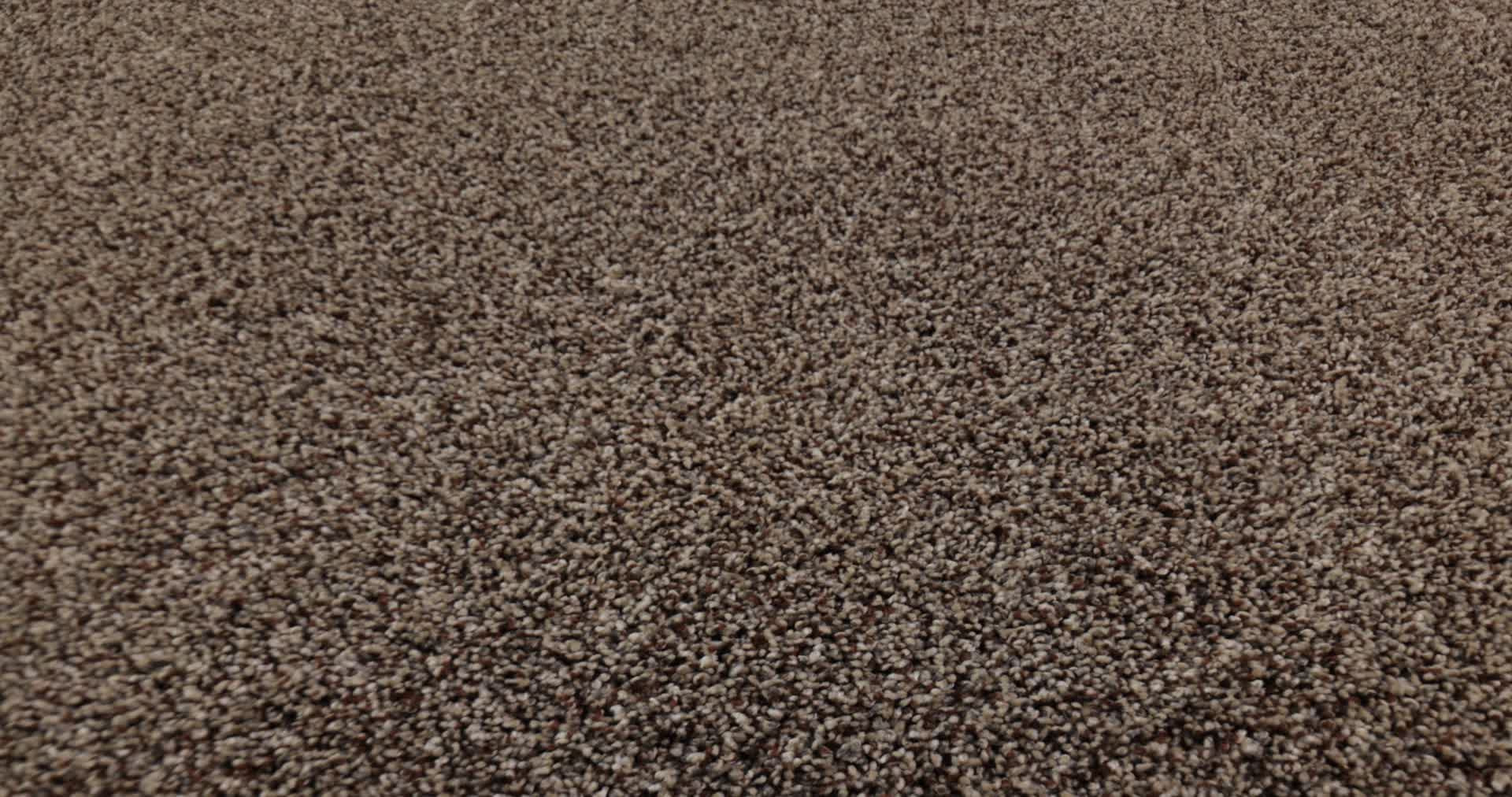 YES YOU CAN III 12' WORN PATH 360PROD