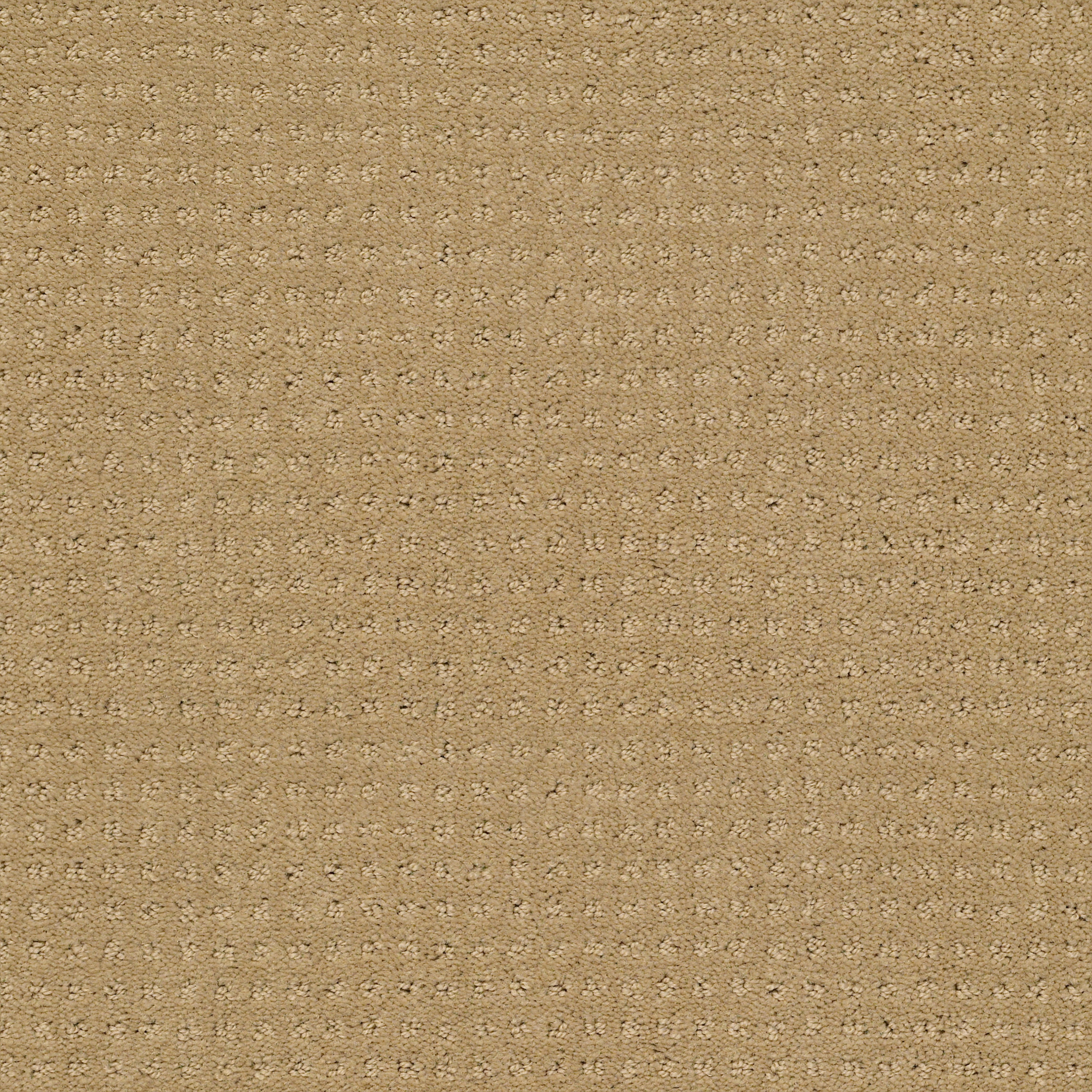 INSPIRED BY PATTERN HONEY POT MAIN