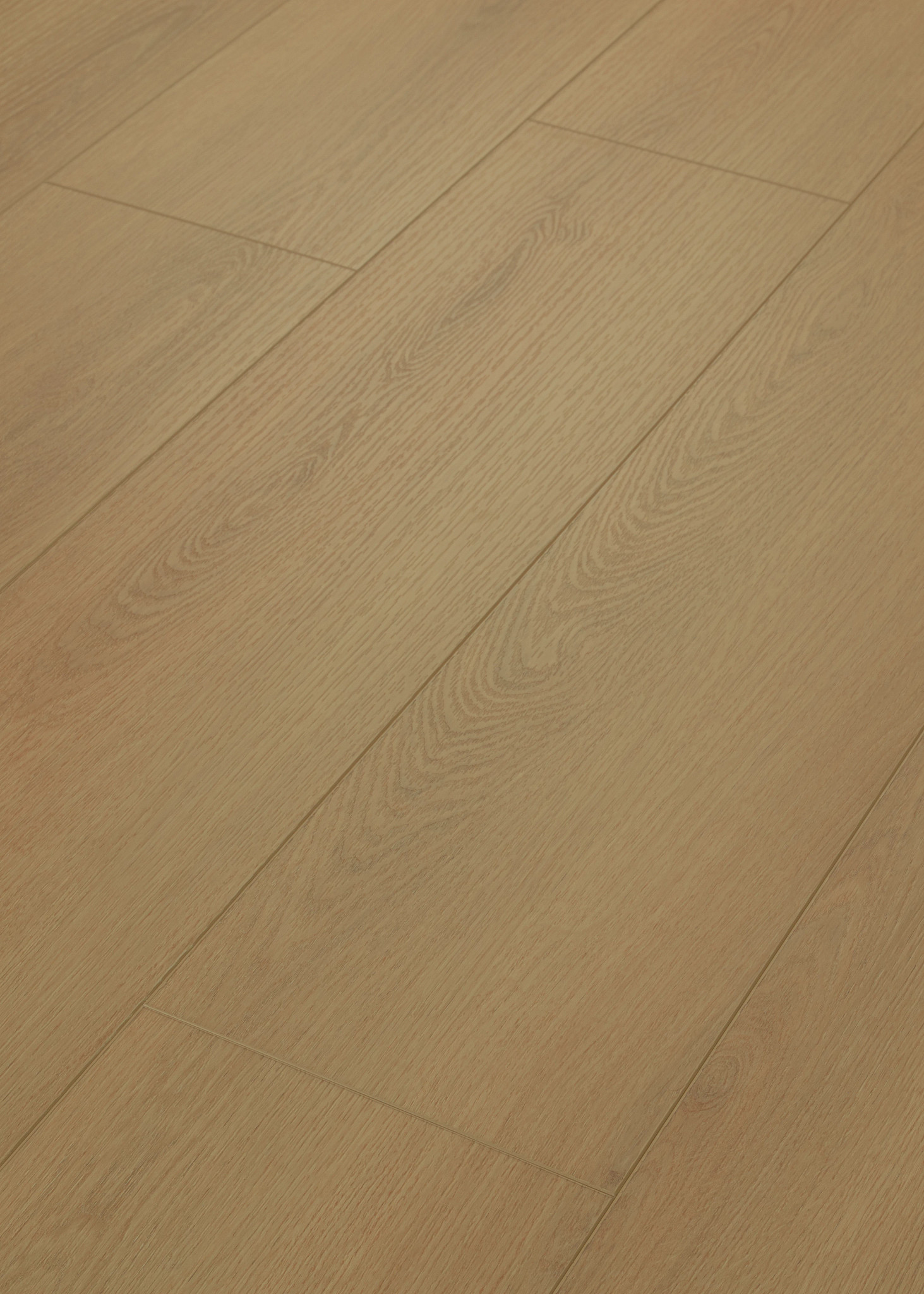 Dwell WARM HONEY ANGLED