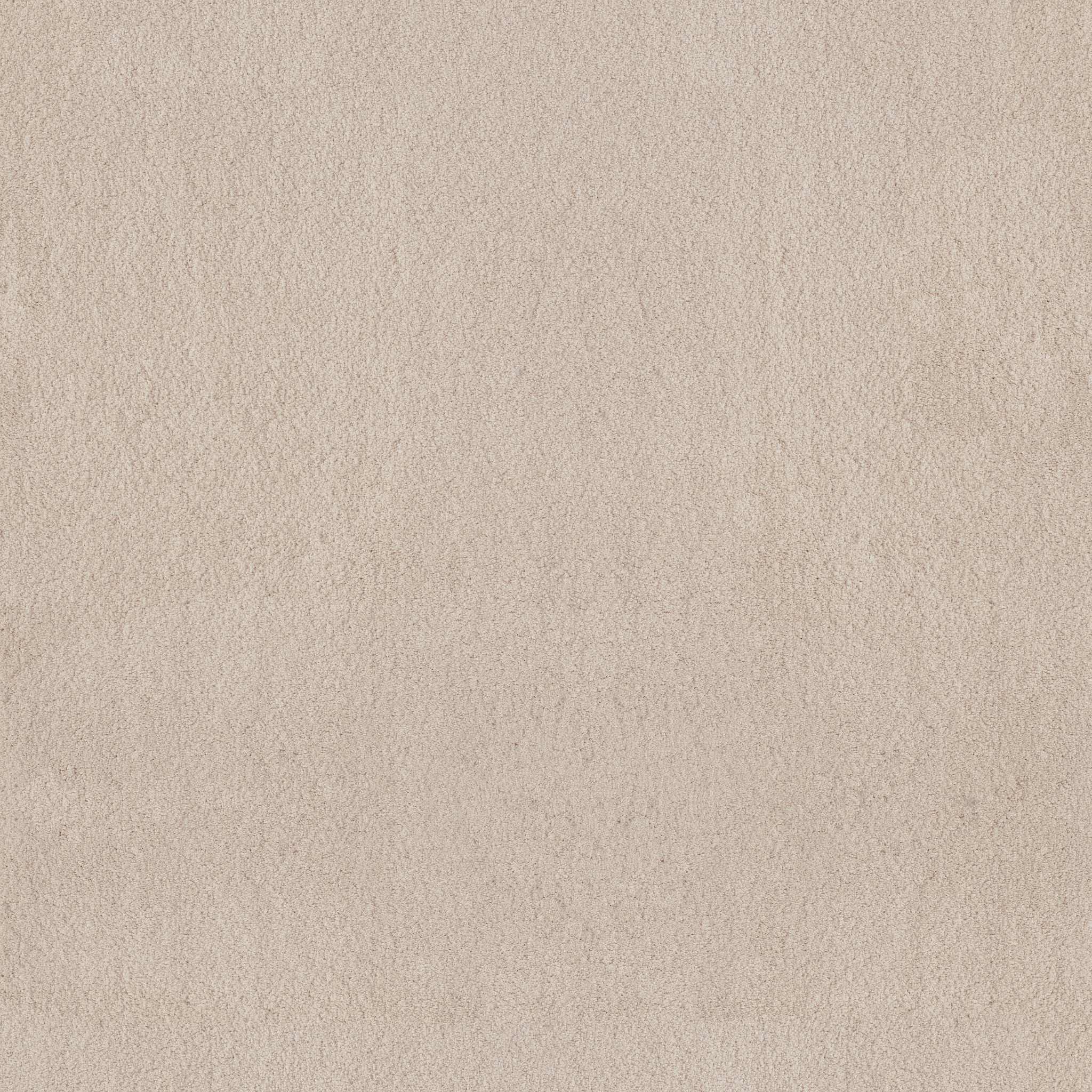 LUXE FEEL I NEUTRAL GROUND MAIN