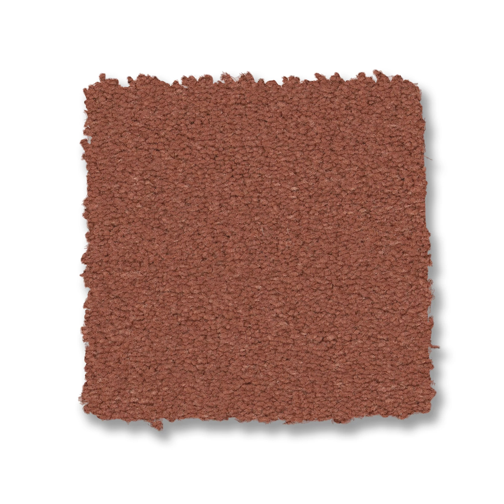 FINERY CORAL REEF SWATCH