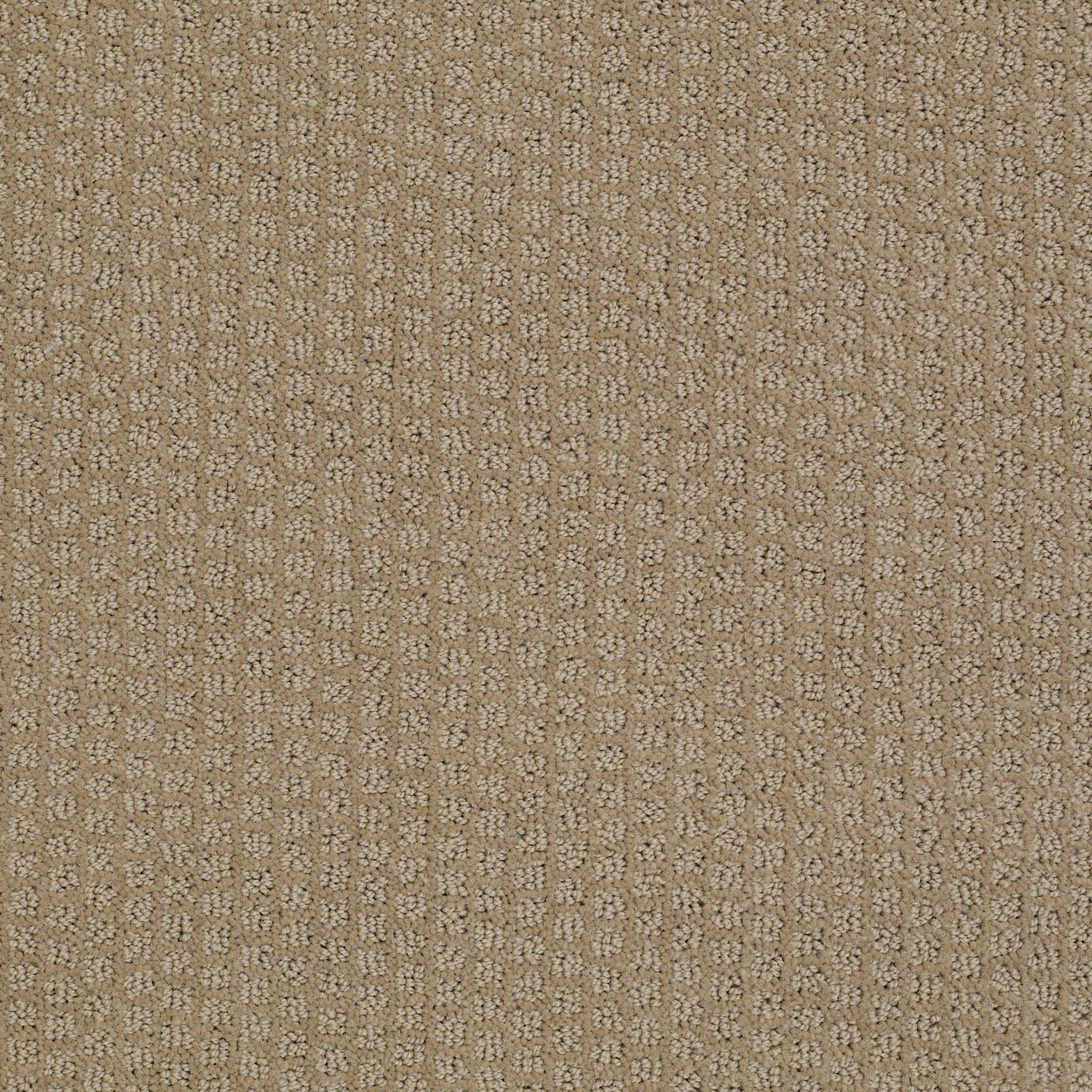 MOOD-BOOSTER-54839-EARLY-DAWN-00754-main-image