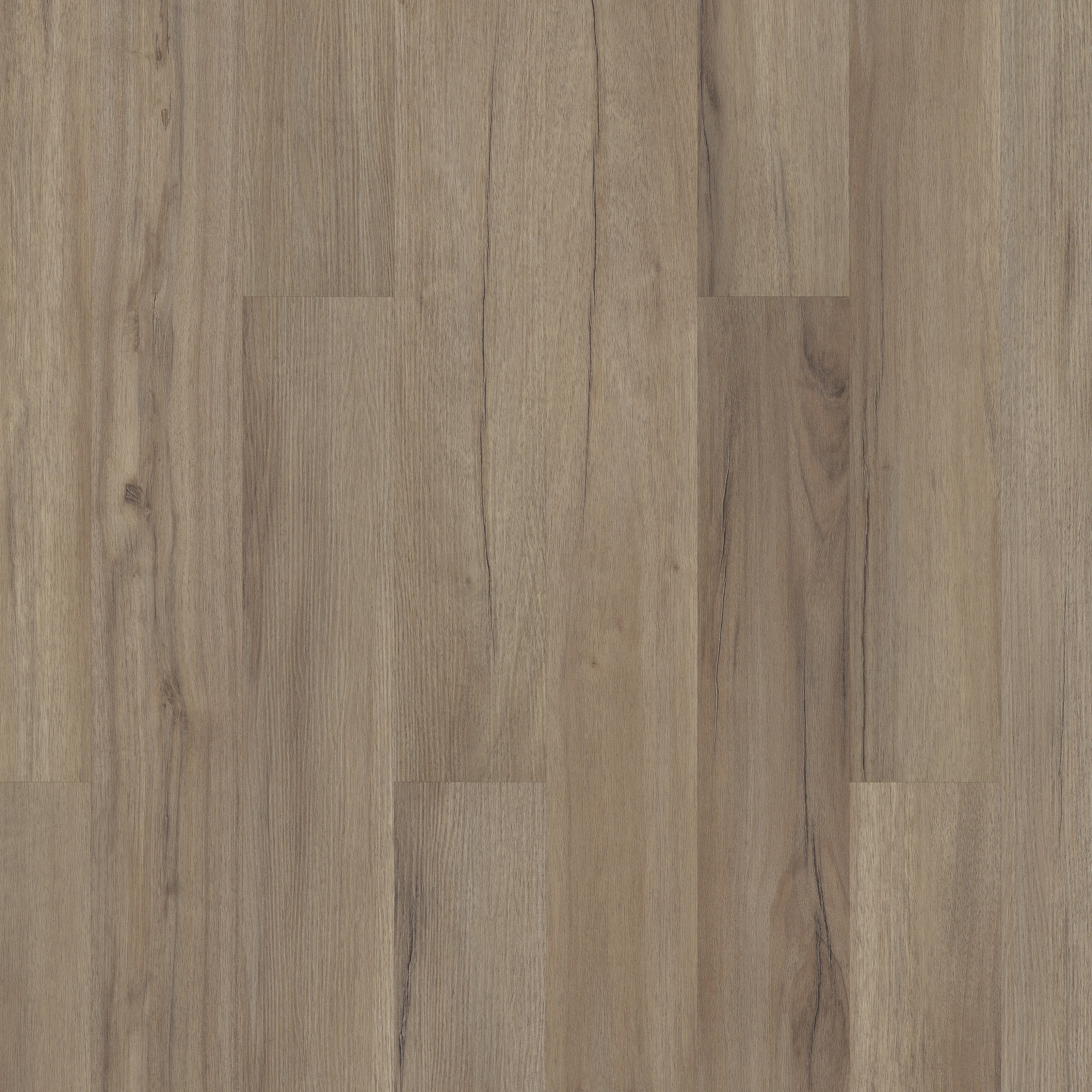 CORETEC ORIGINALS CLASSICS VV023 BAYWOOD OAK MAIN