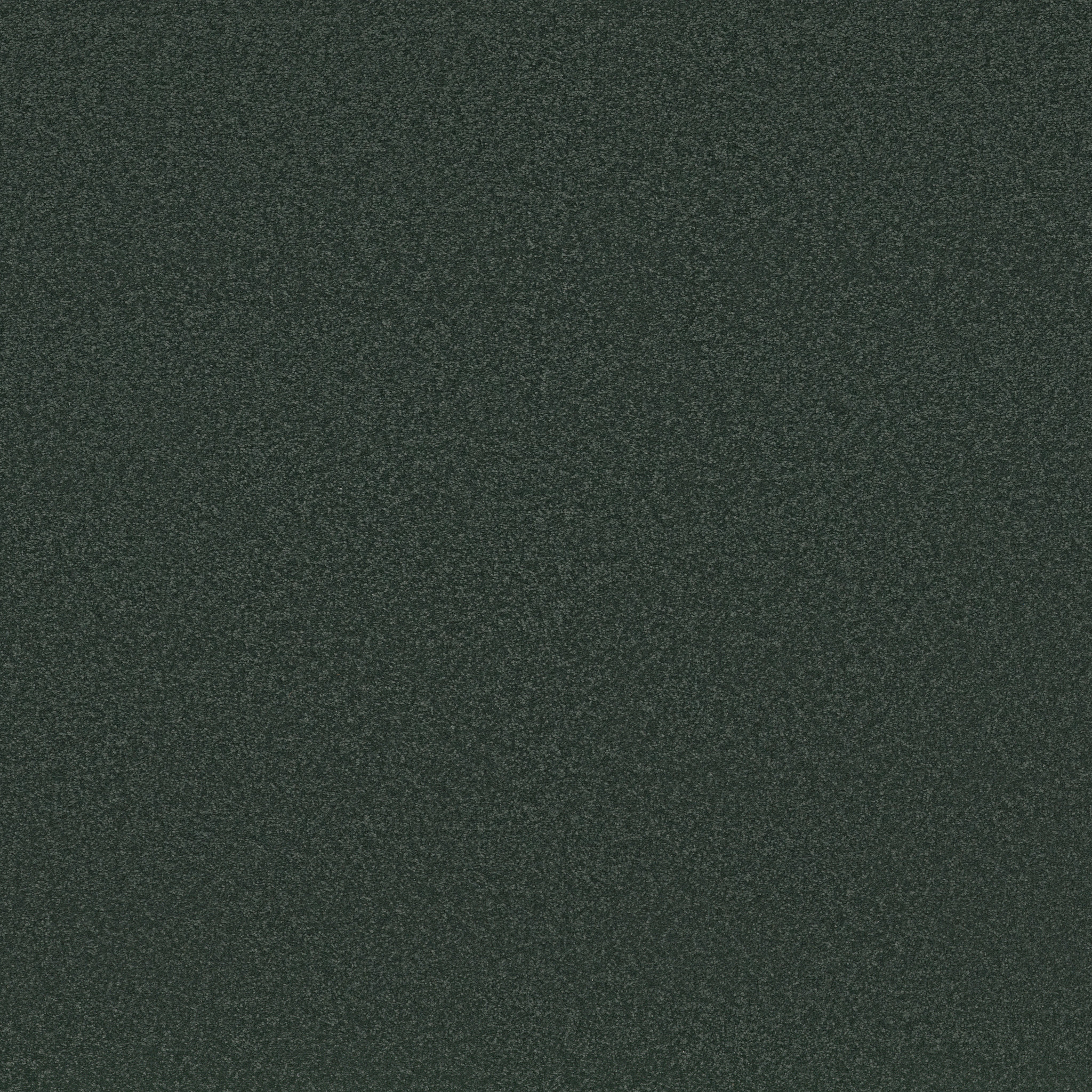 AWAKEN SPIRIT I 12' BLUE SPRUCE MAIN