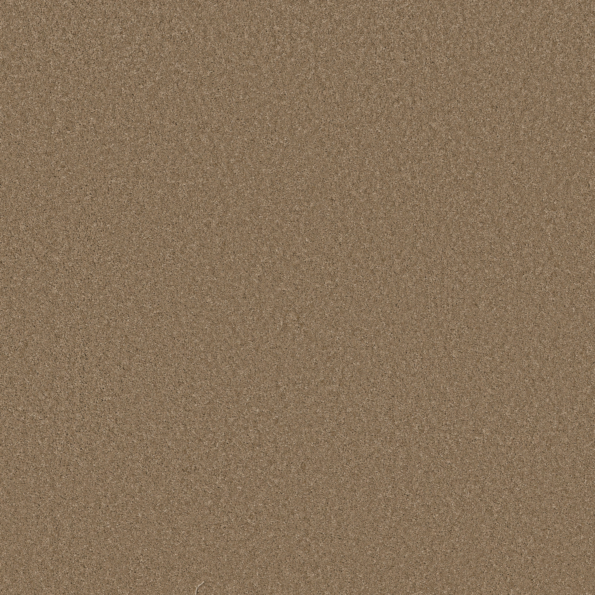 ENCHANTING LATTE MAIN