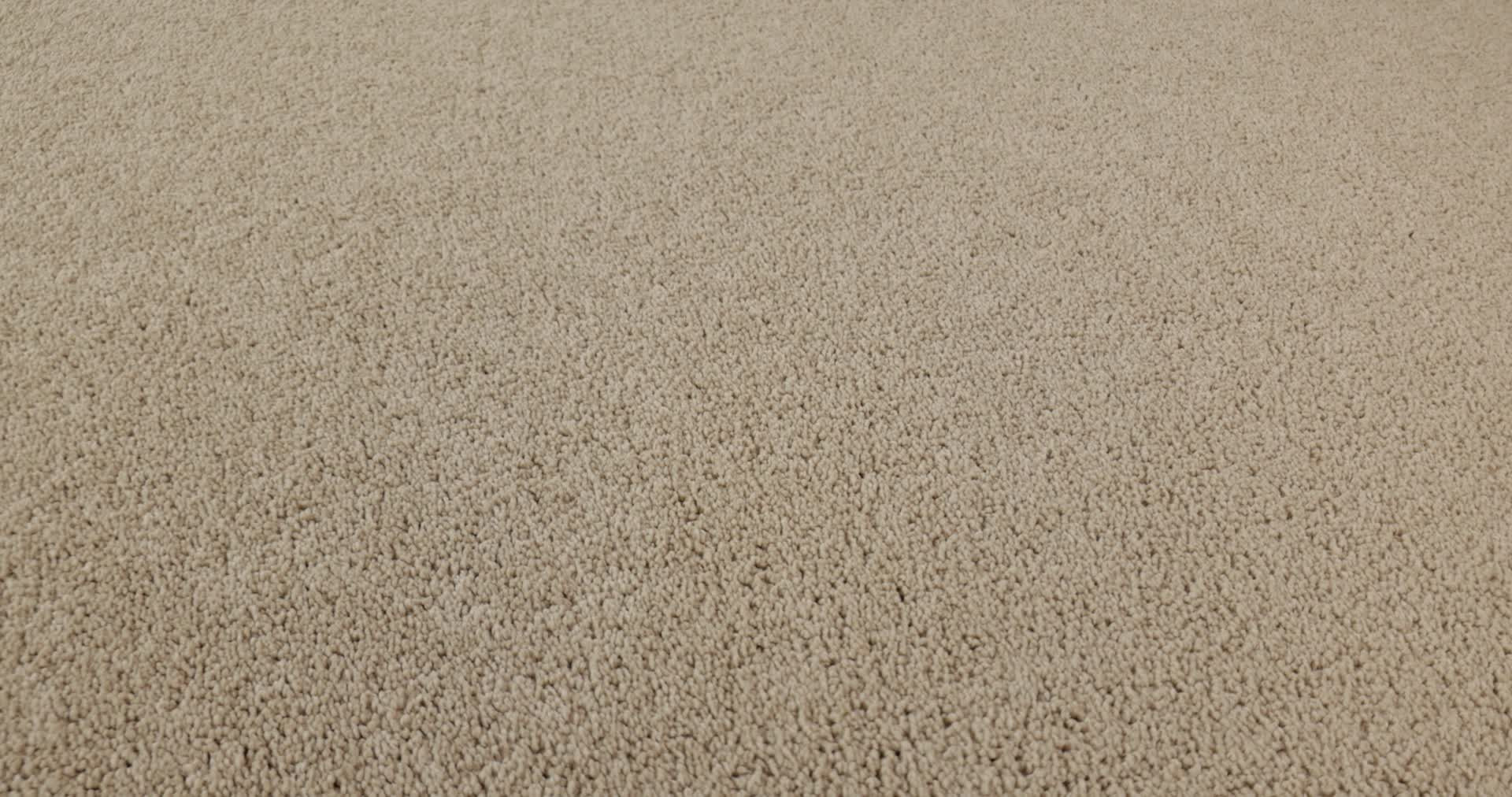 VELVET TOUCH II CASHEW 360PROD