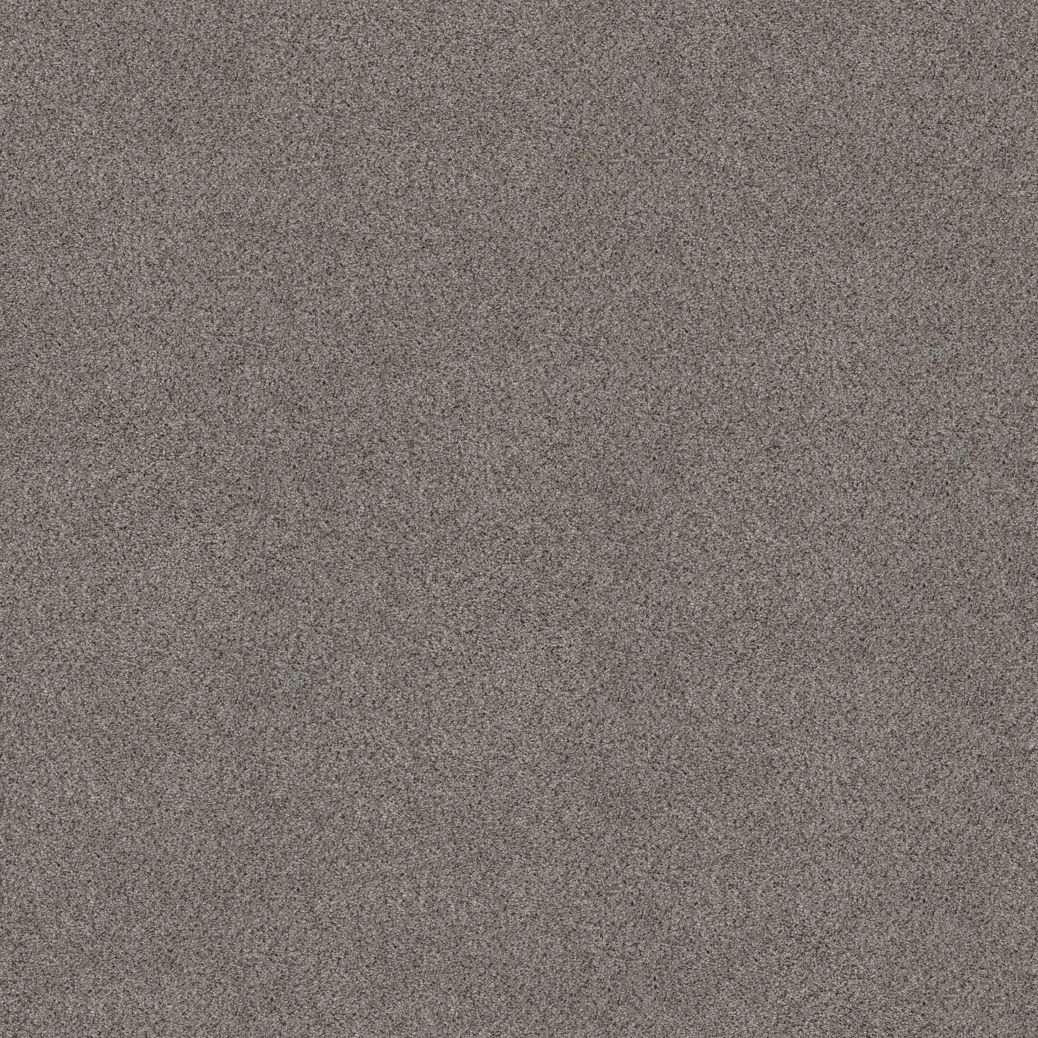 Textured gray carpet swatch showcasing a blend of light and dark gray fibers for a cozy and durable flooring option