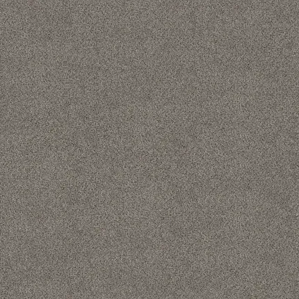 Durable Gray Carpet Swatch for Comfortable Home Flooring Textured gray carpet swatch showcasing a blend of light and dark gray fibers for a cozy and durable flooring option