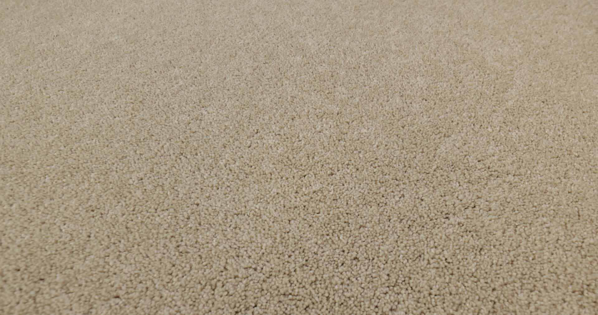 LAGUNA BEACH SANDY SHORE 360PROD