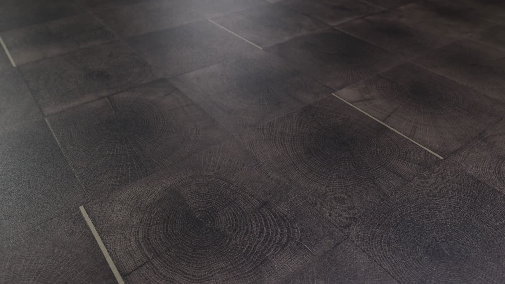 Cut Cacao Rotation360