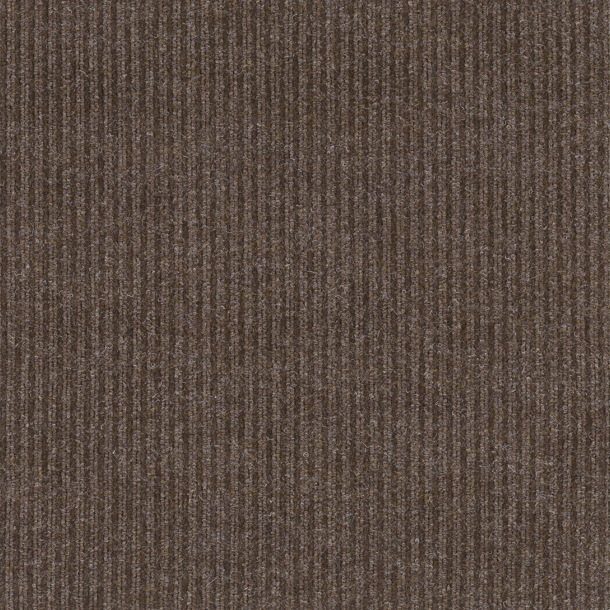 BEACON-II-54692-BITTERSWEET-00701-main-image