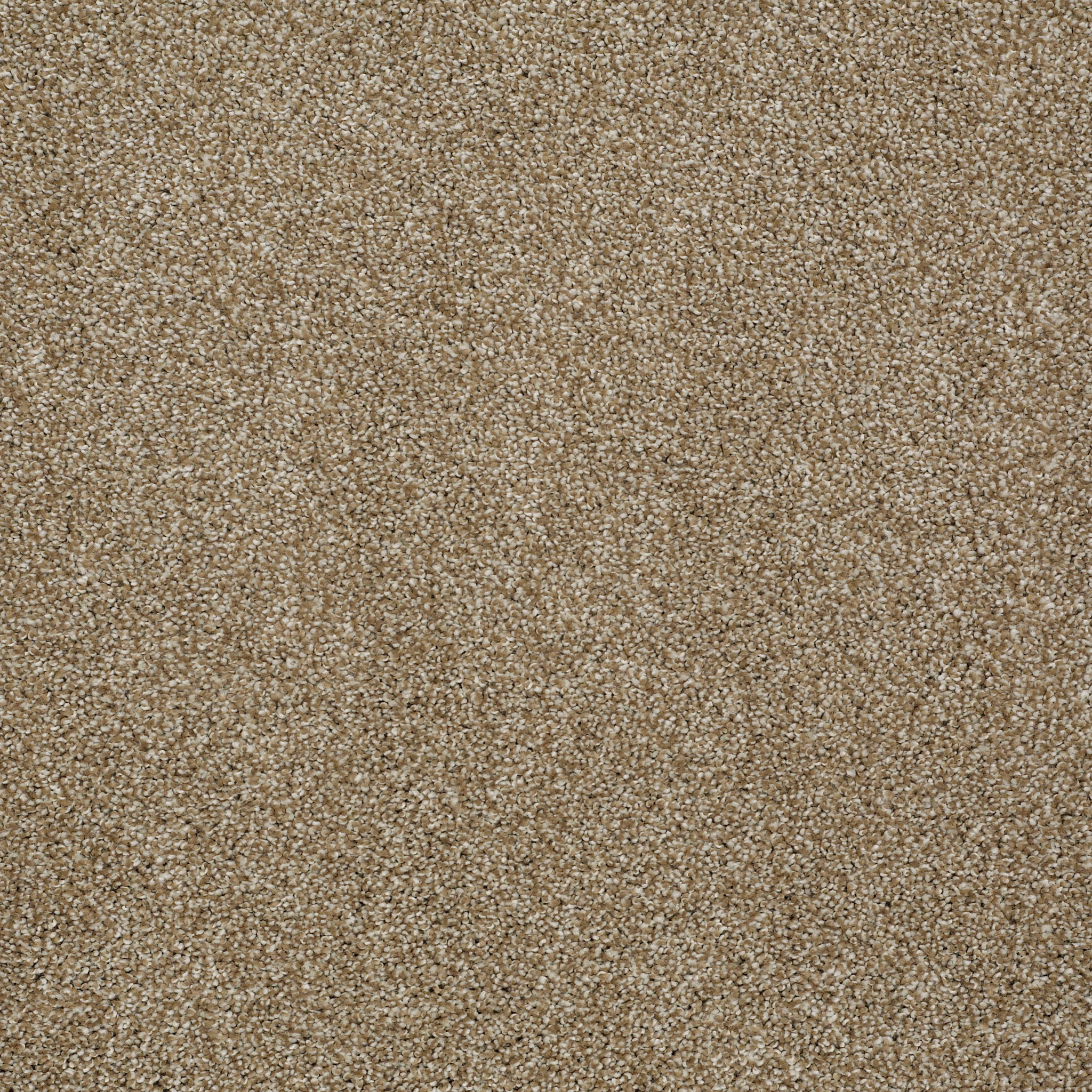 ALWAYS READY II WARMTH MAIN