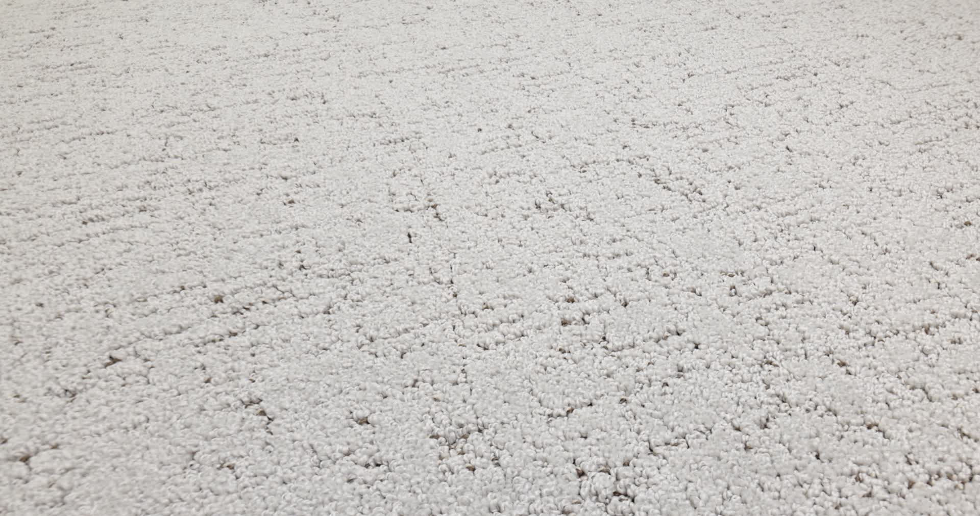 Run Free GRAVITY 360PROD