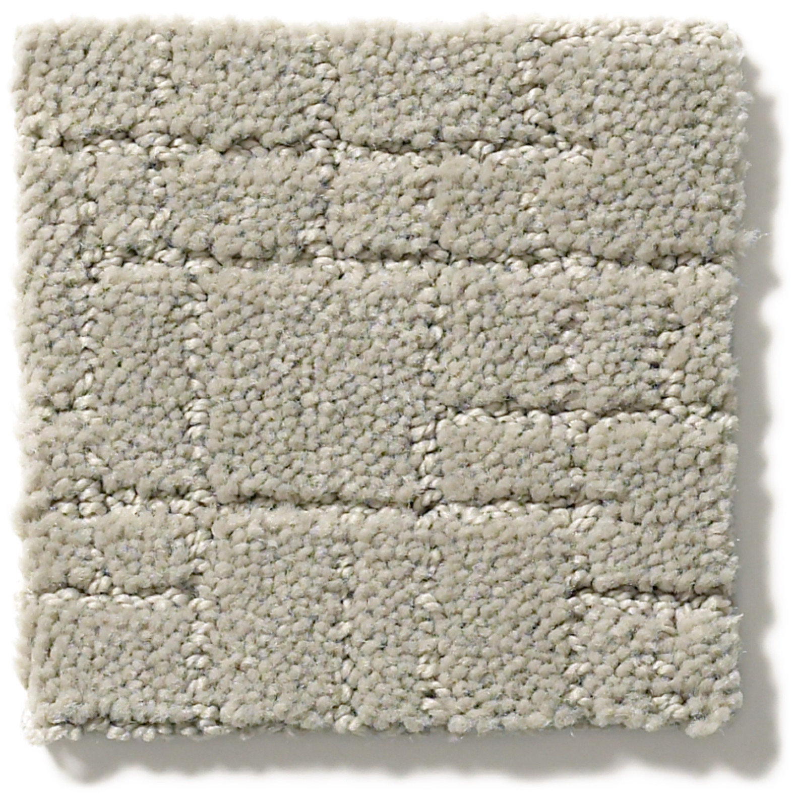 FAUX PAW MEDITATION SWATCH