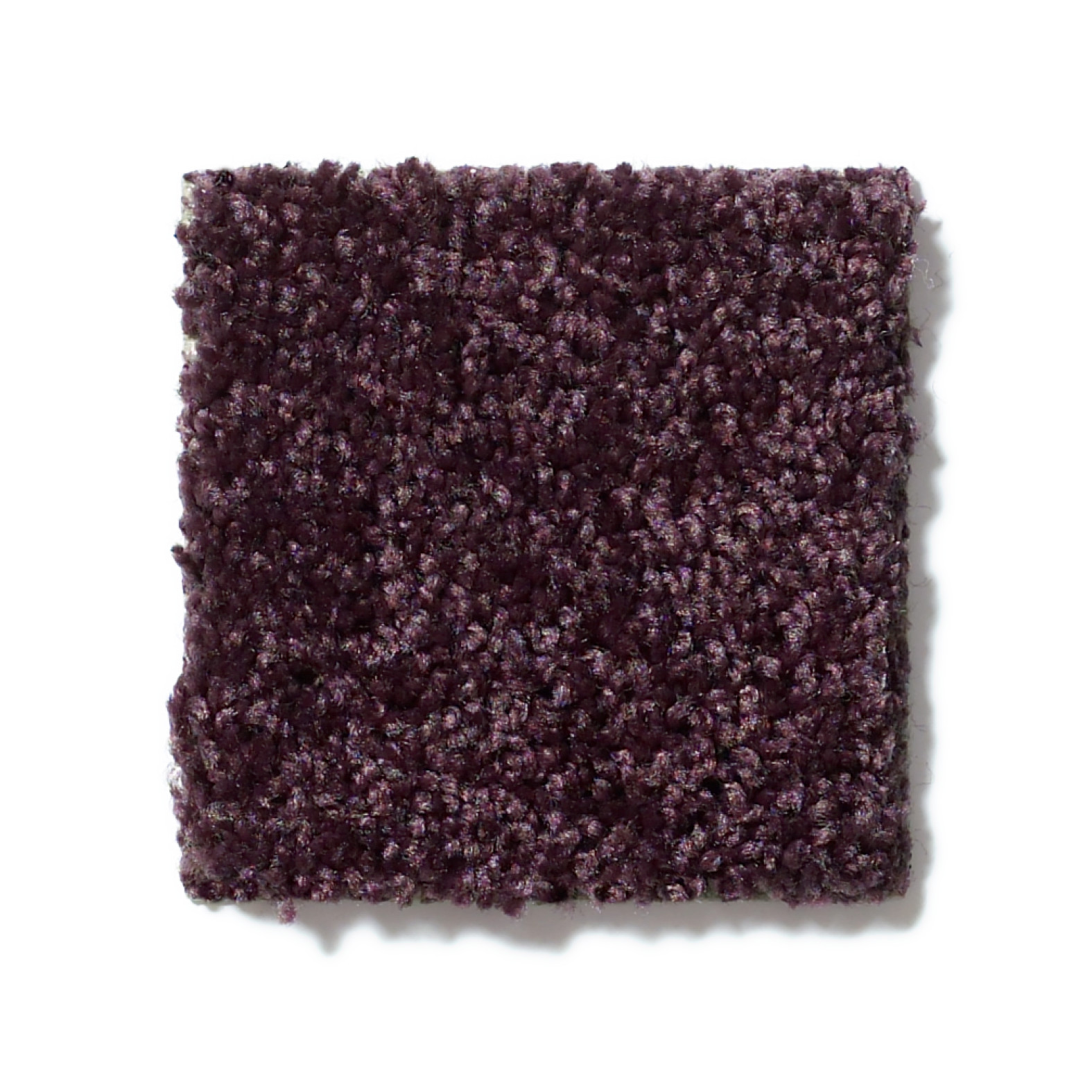 UNION CITY III 12' ROYAL PURPLE SWATCH