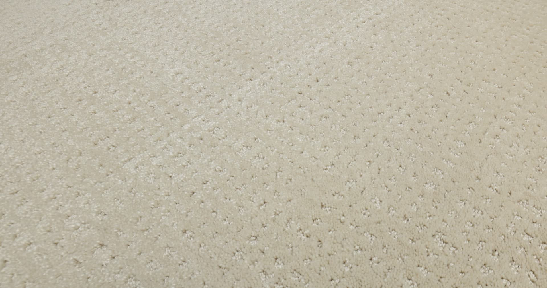 VIVID MEMORIES SUN KISSED 360PROD