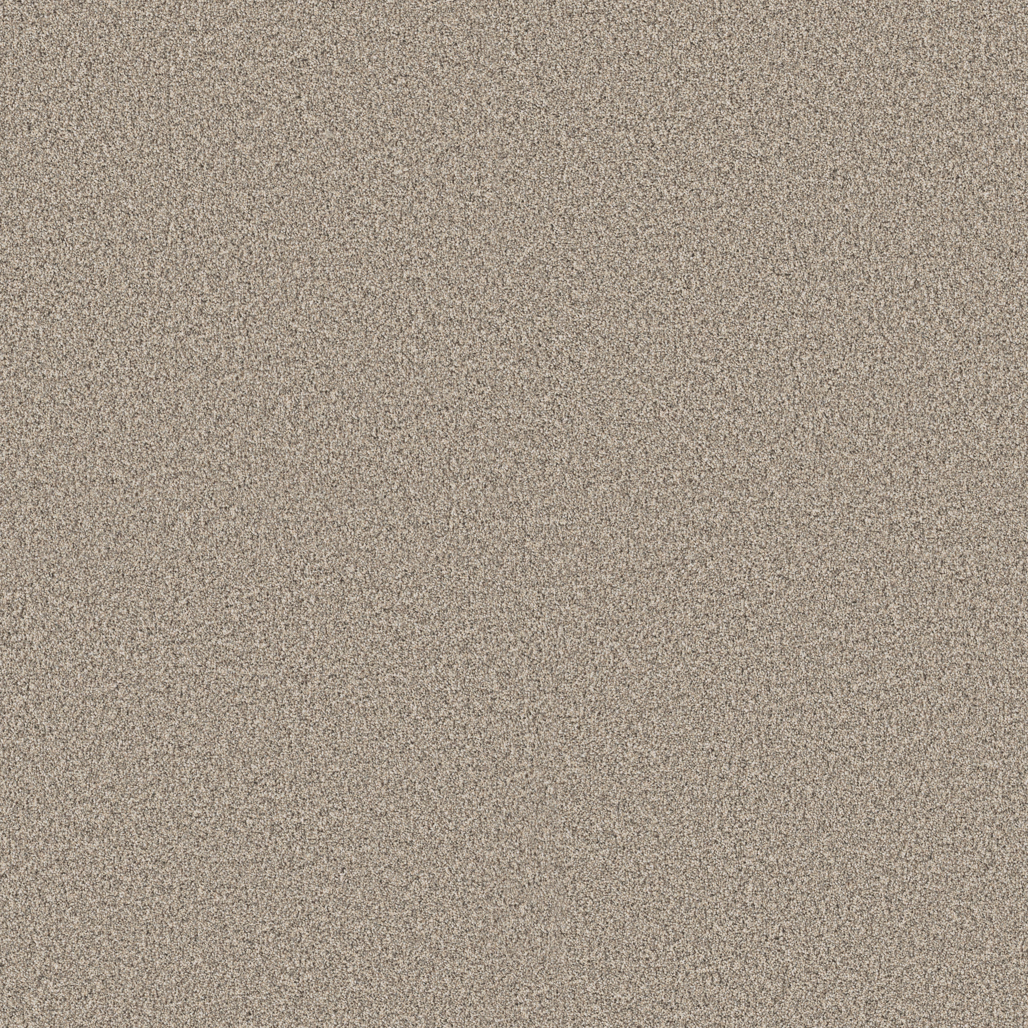 TIMELESS TONE OPEN CANYON MAIN