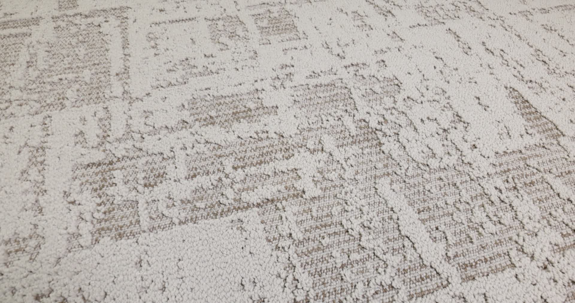 DISCOVER GREY FOX 360PROD