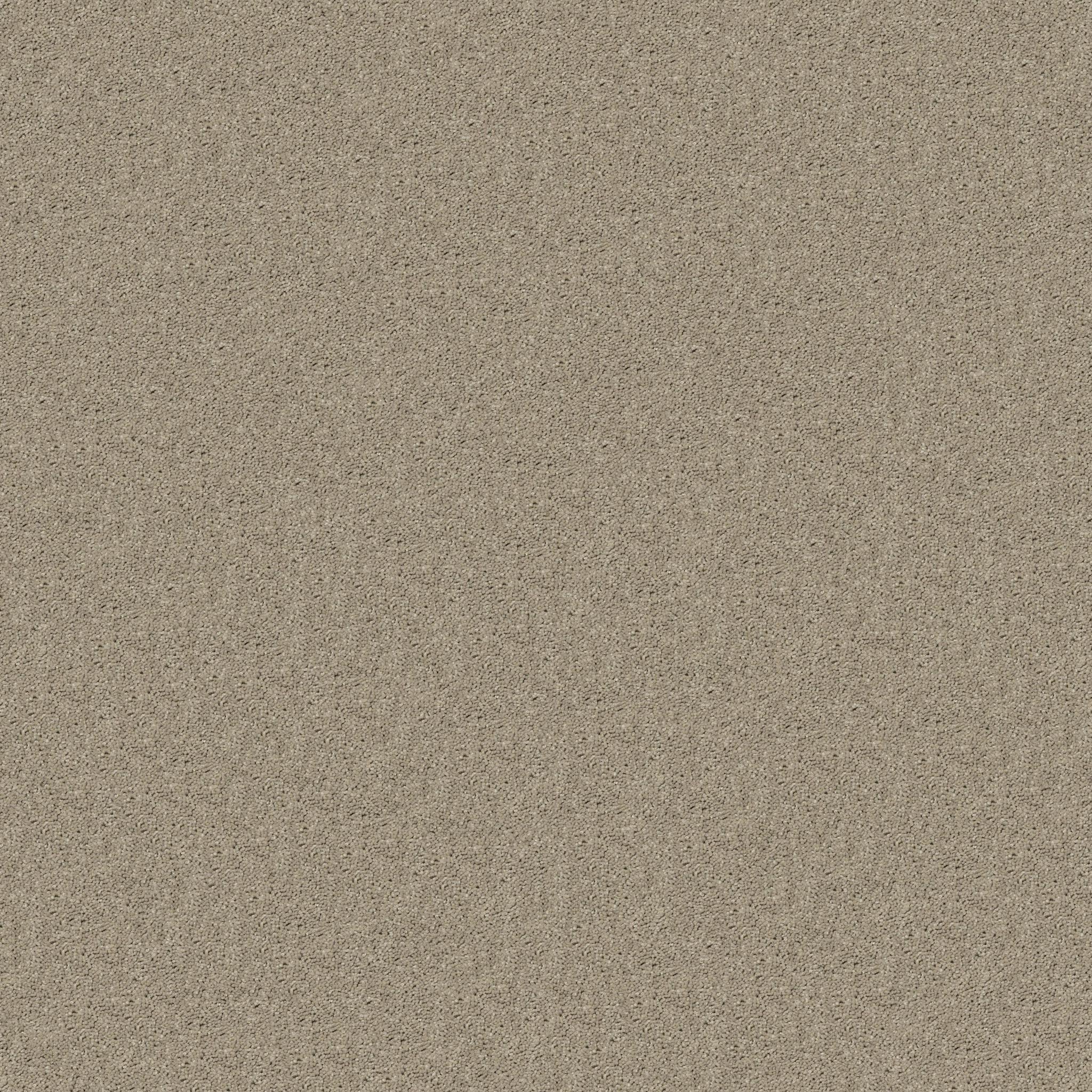 All Star Weekend Ii 12' by Shaw Floors