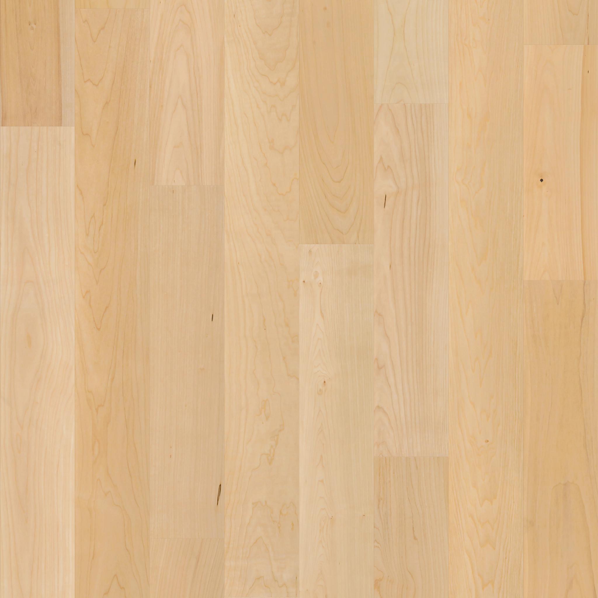 Natural Classics Hard Maple 5" in Natural Hard Maple