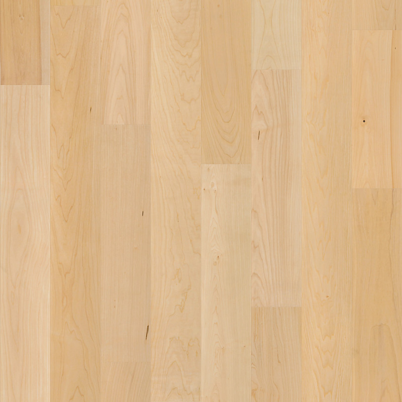 NATURAL CLASSICS HARD MAPLE 5" in Natural Hard Maple by Shaw Floors