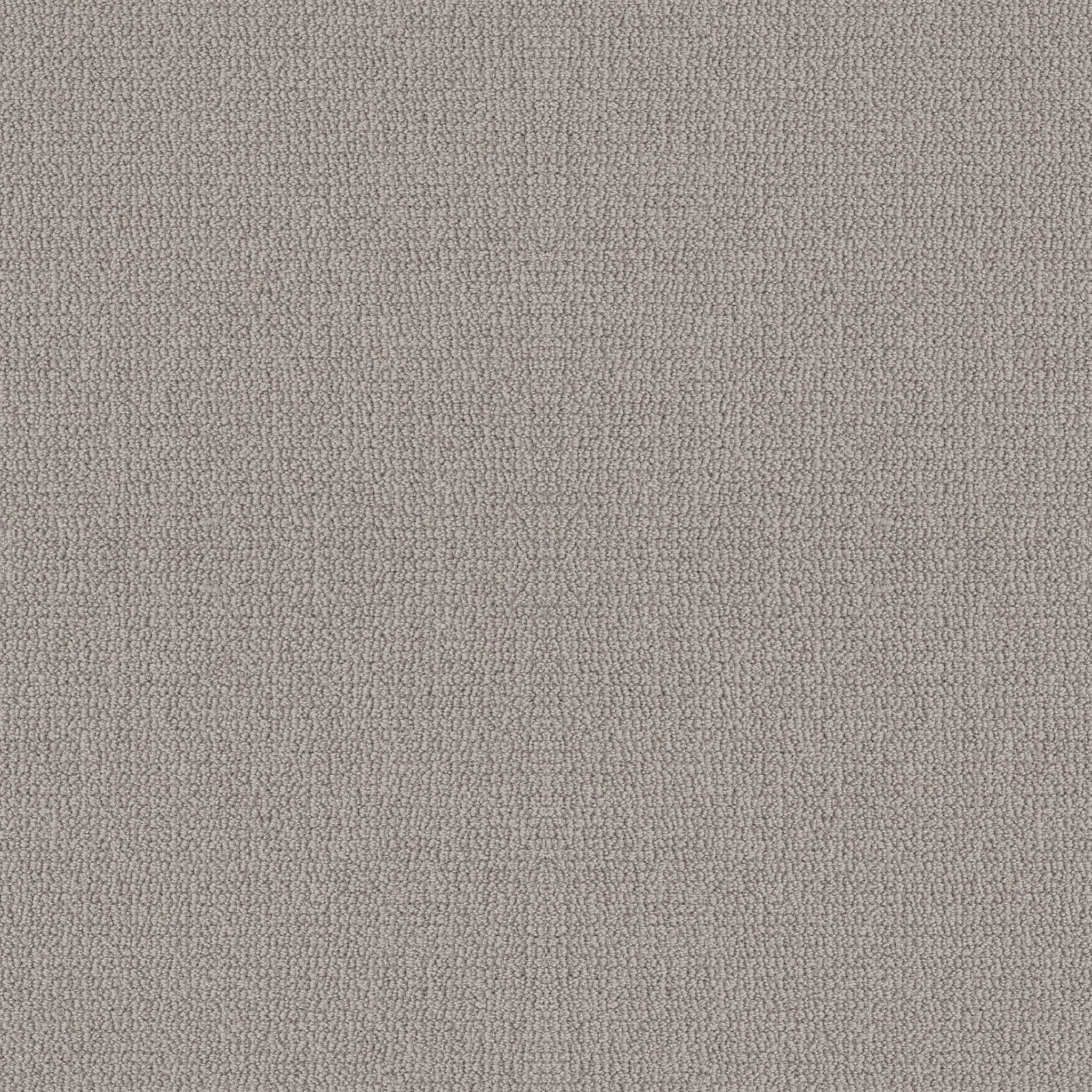 EMBELLISHED ASHEN MAIN