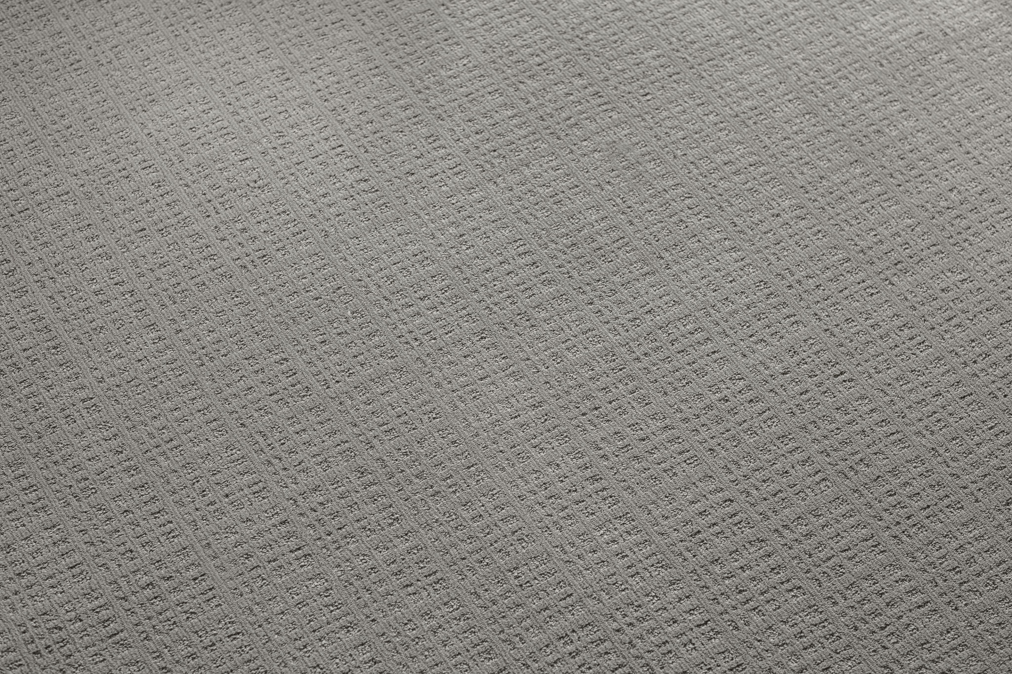 PURRSUASION BACKDROP StaticImage06