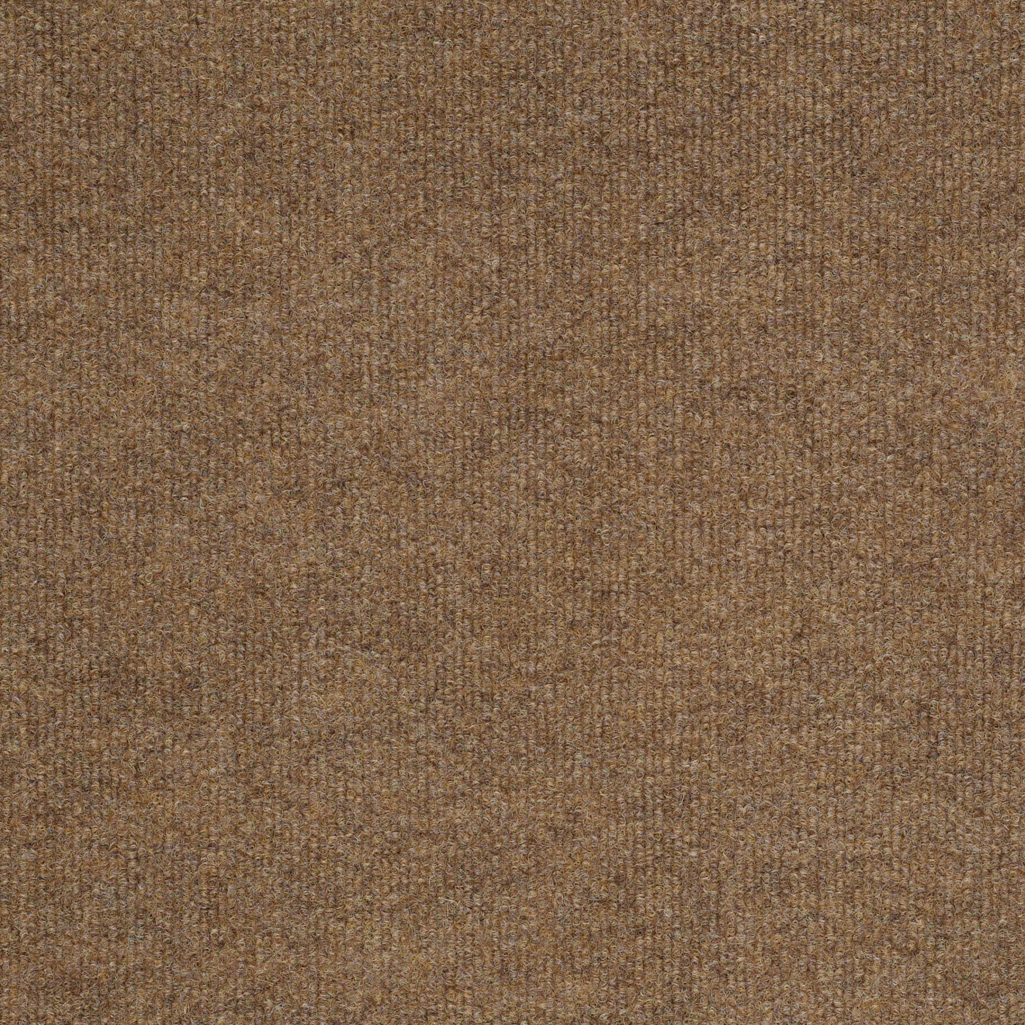 WINDSURF-54688-FAWN-00200-main-image