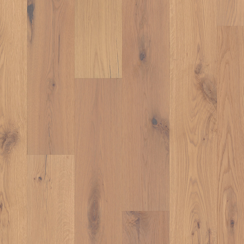 INSPIRATIONS WHITE OAK in Timber by Shaw Floors