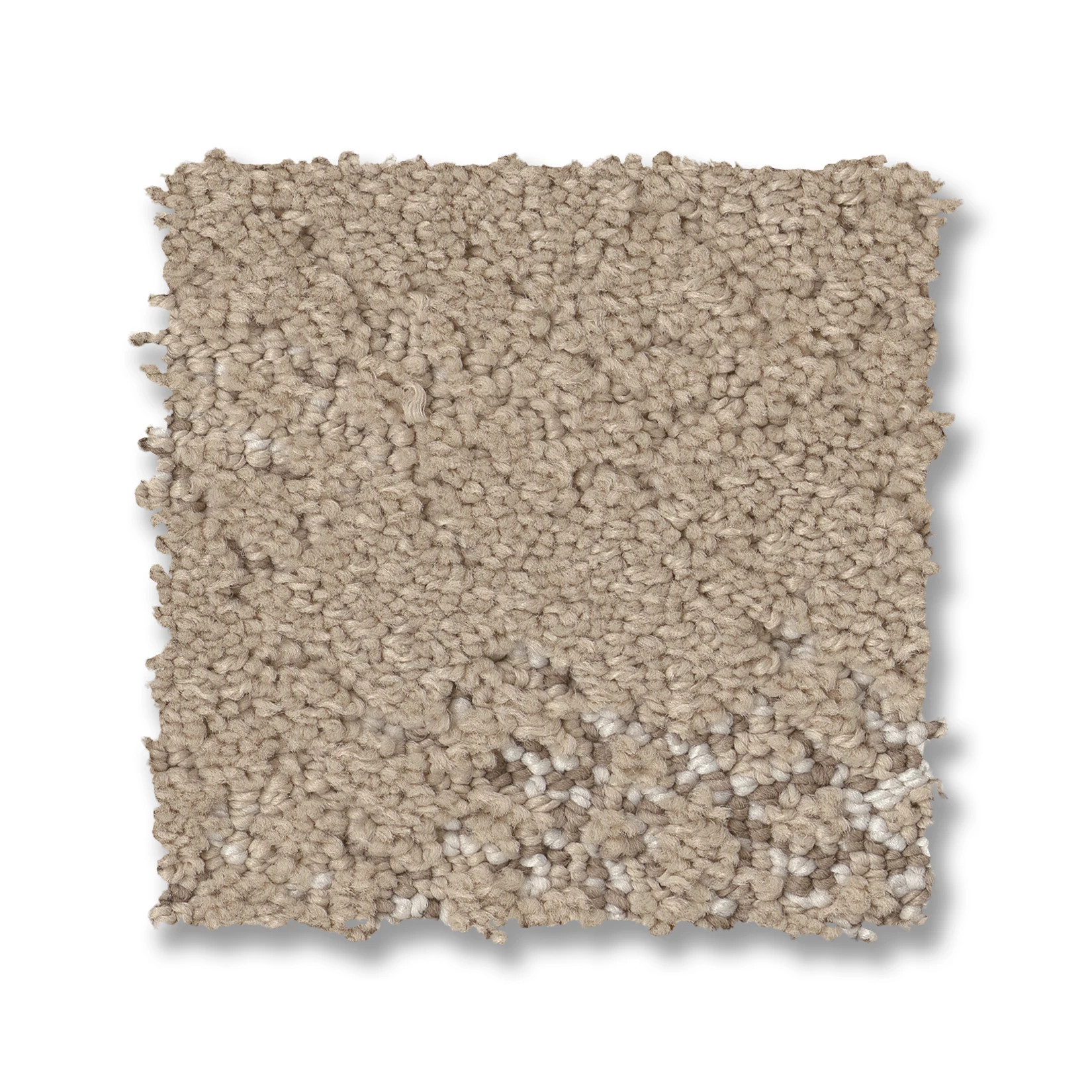 EVOKE FRESH BREAD SWATCH