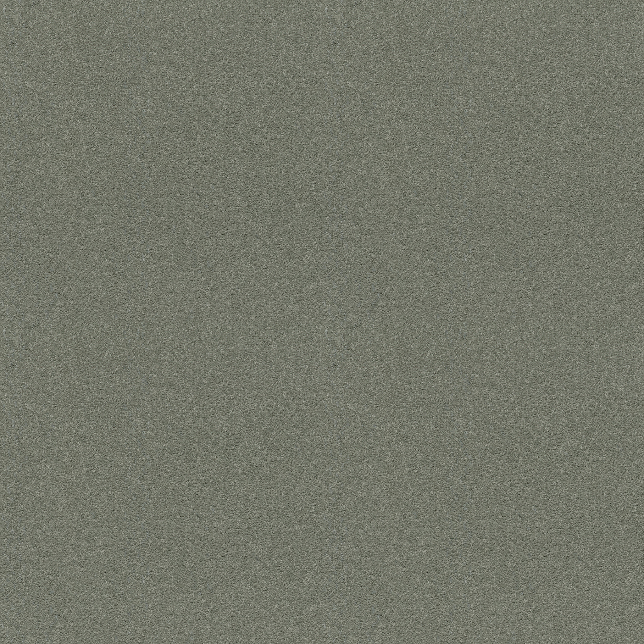 MY DESTINATION III SILVER SAGE MAIN