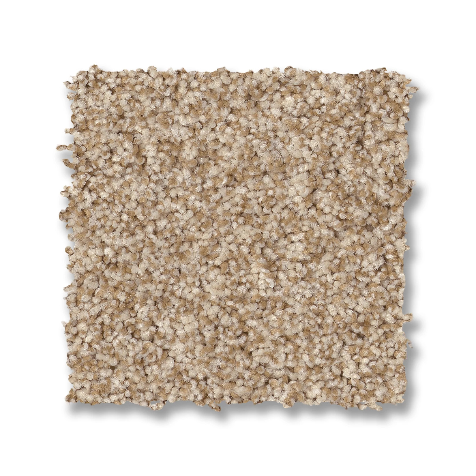 TERRA NOVA REED SWATCH