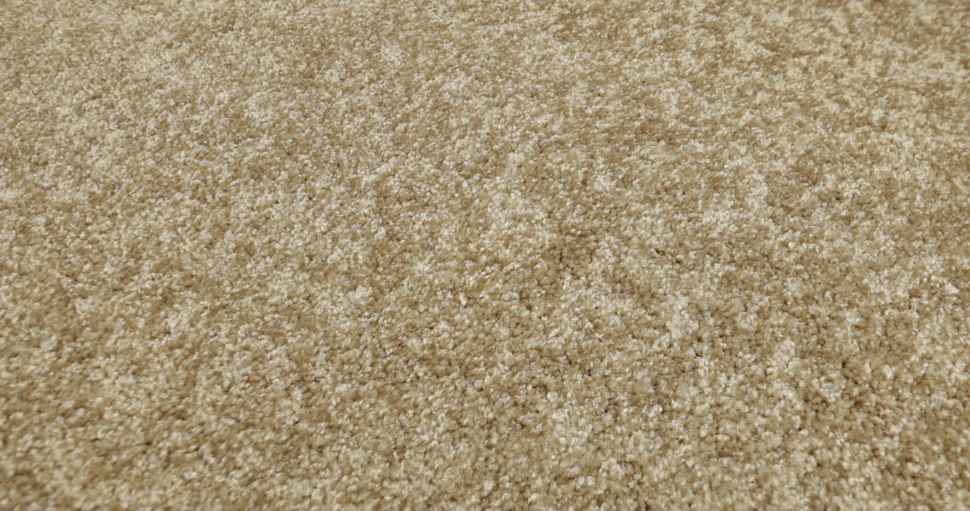 PREMIER ROLE REED 360PROD