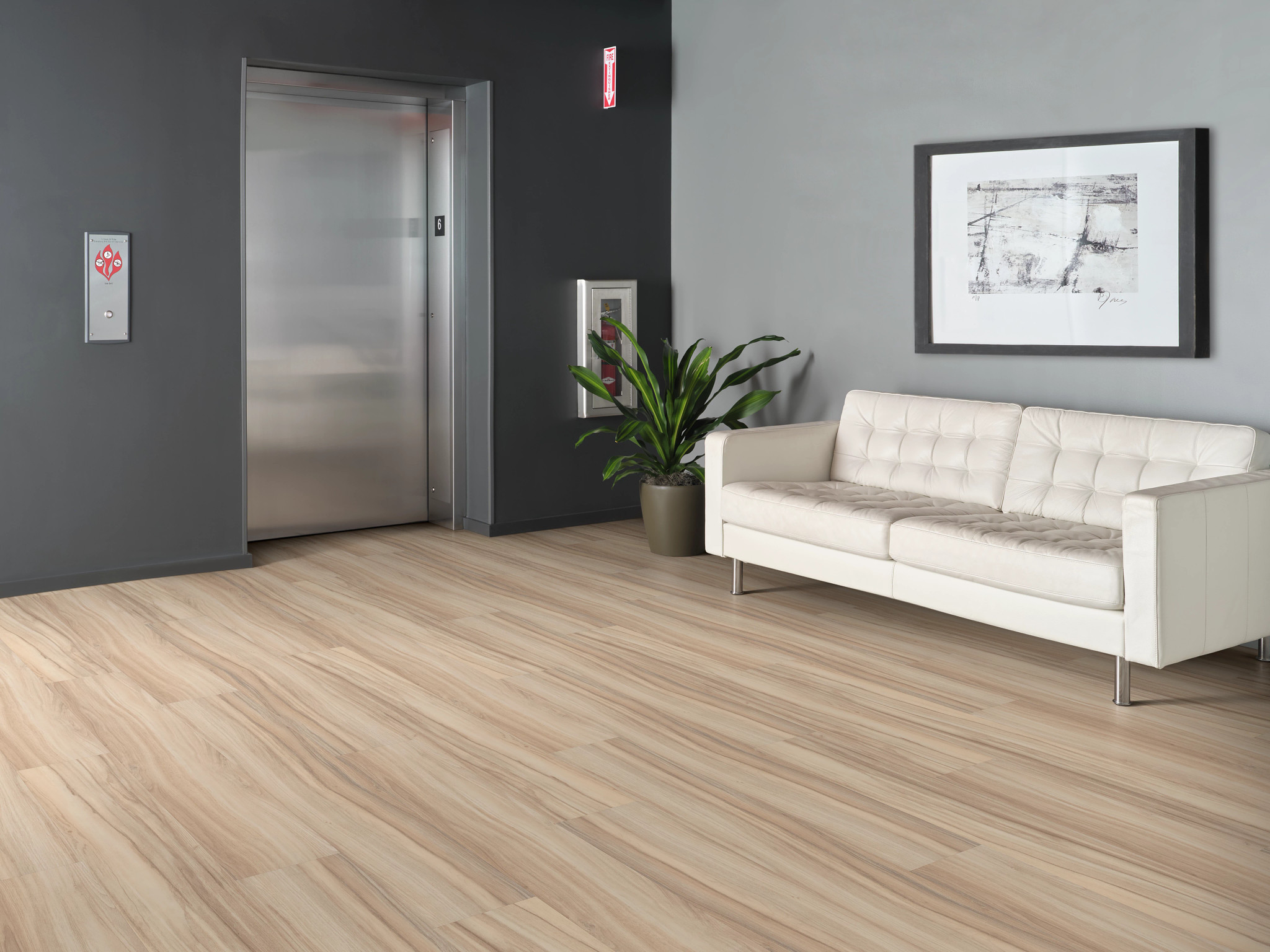 REWILD-5667V-NATIVE-00105-room-image