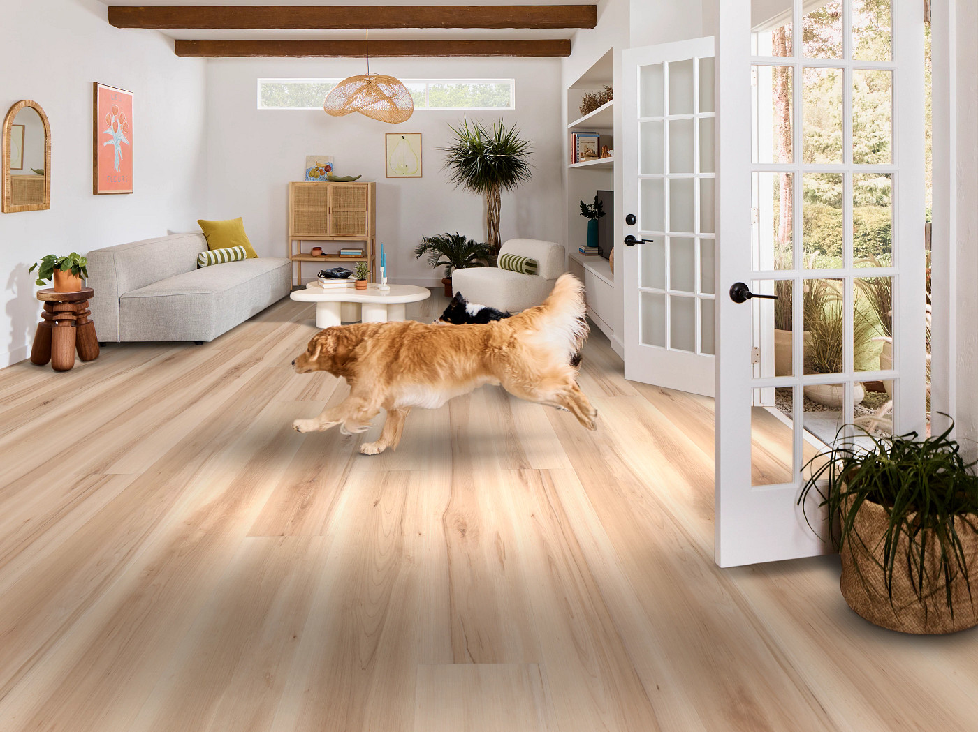 Almond Maple flooring, shown in a room