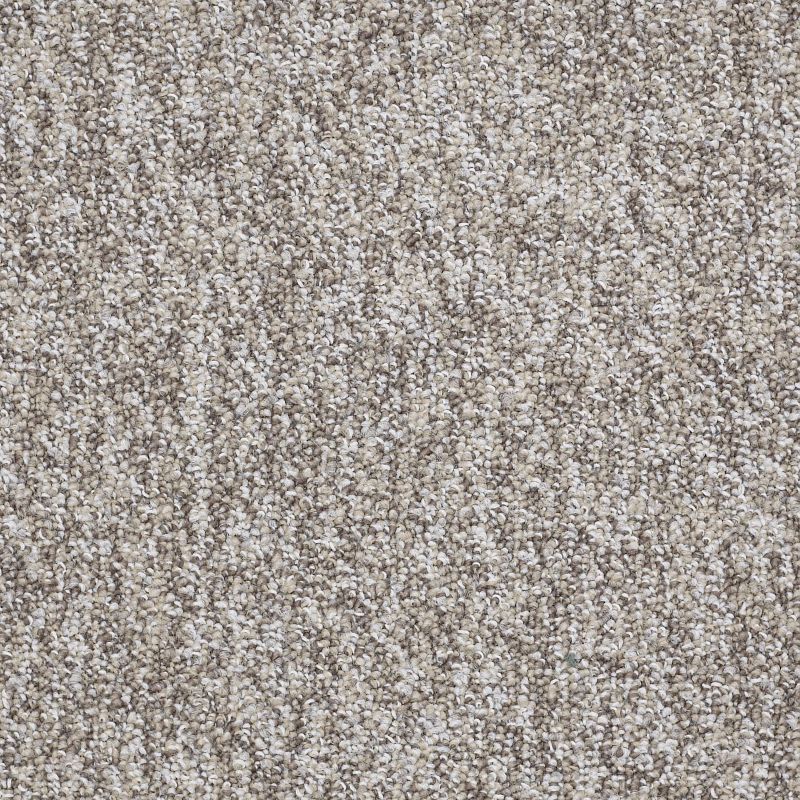 Sound Advice Berber Loop Carpet in color Get Involved, 12ft wide, 100% nylon material