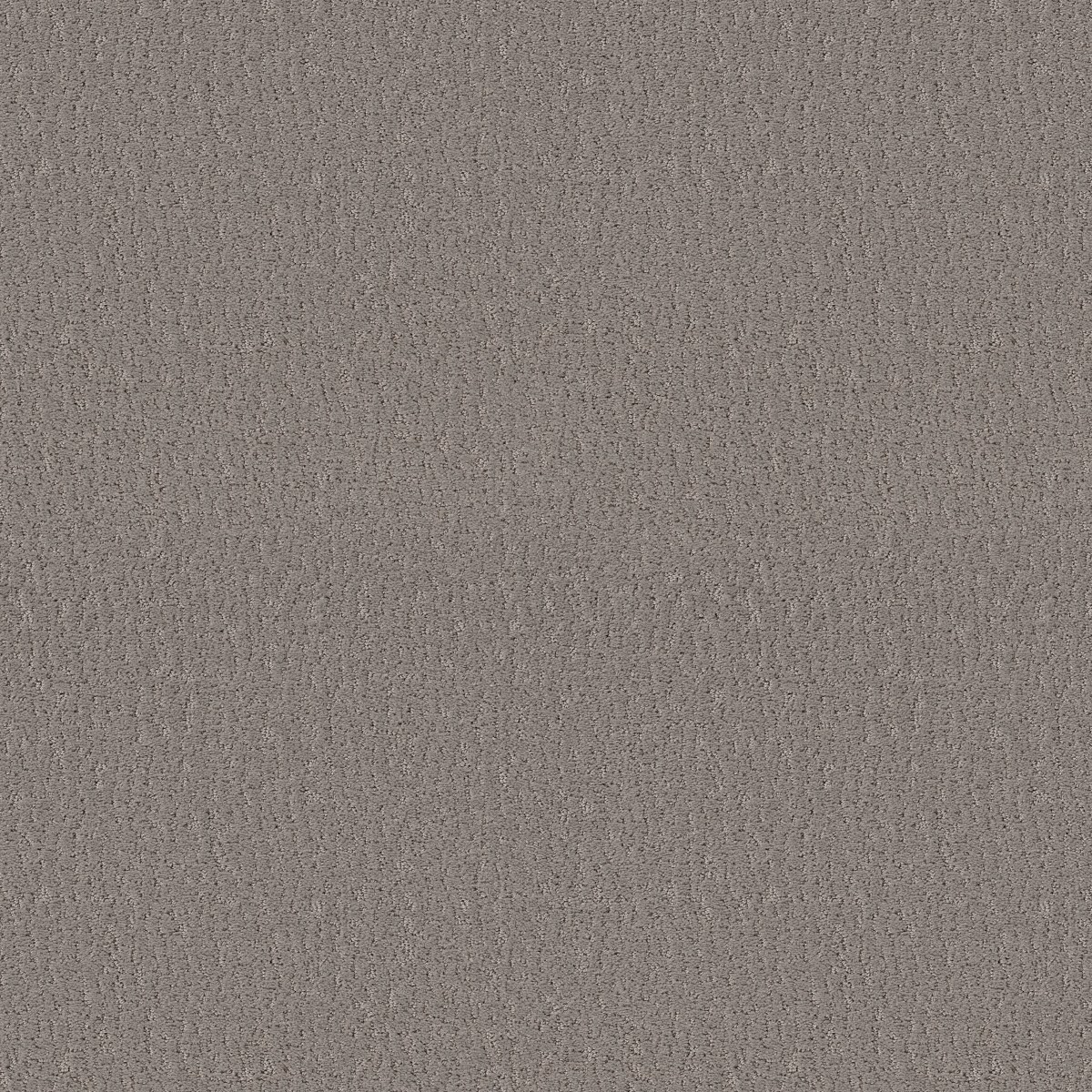 Shaw Floors STUDIO SET — FALLEN ACORN