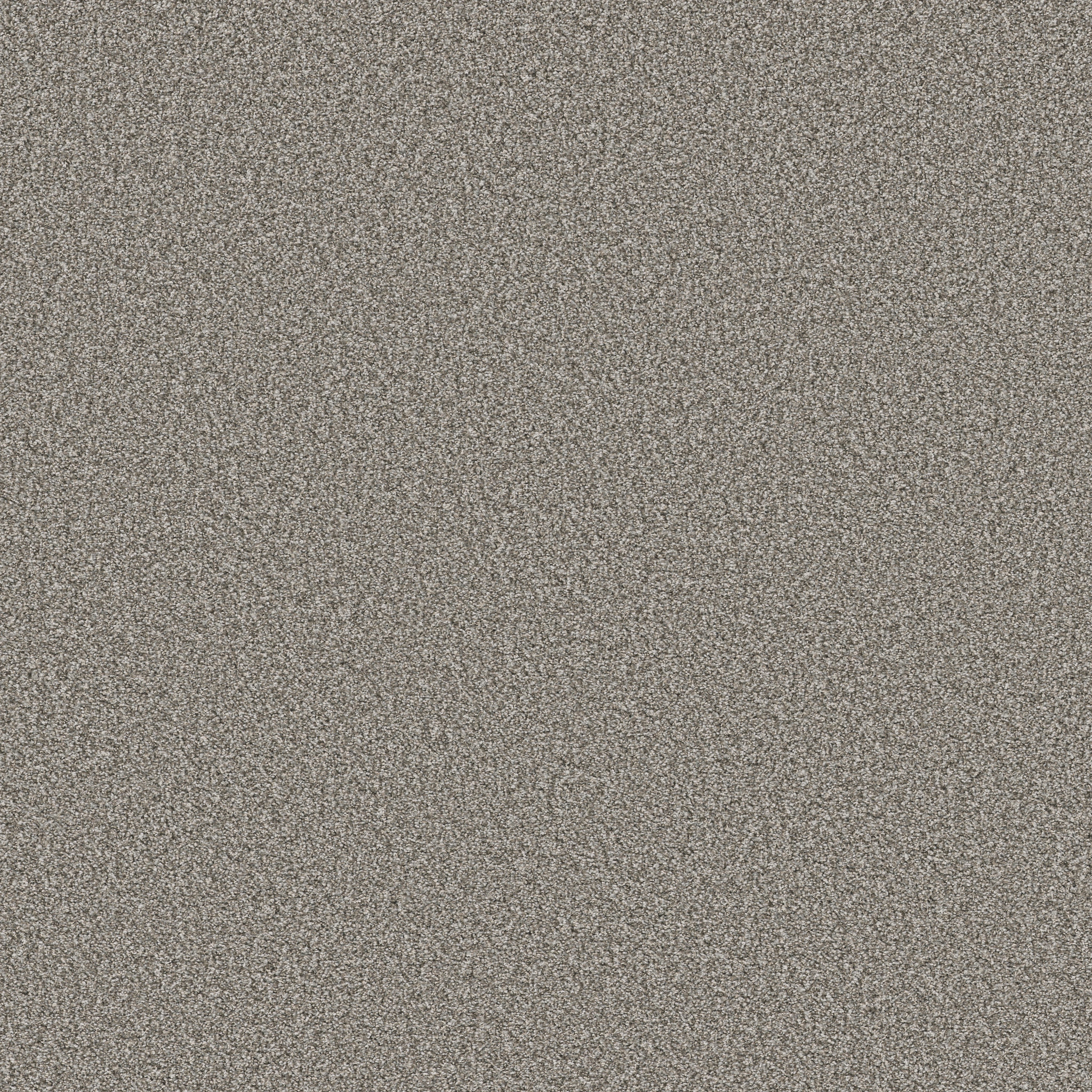 TWEED COMFORT I ISLAND TOUR MAIN