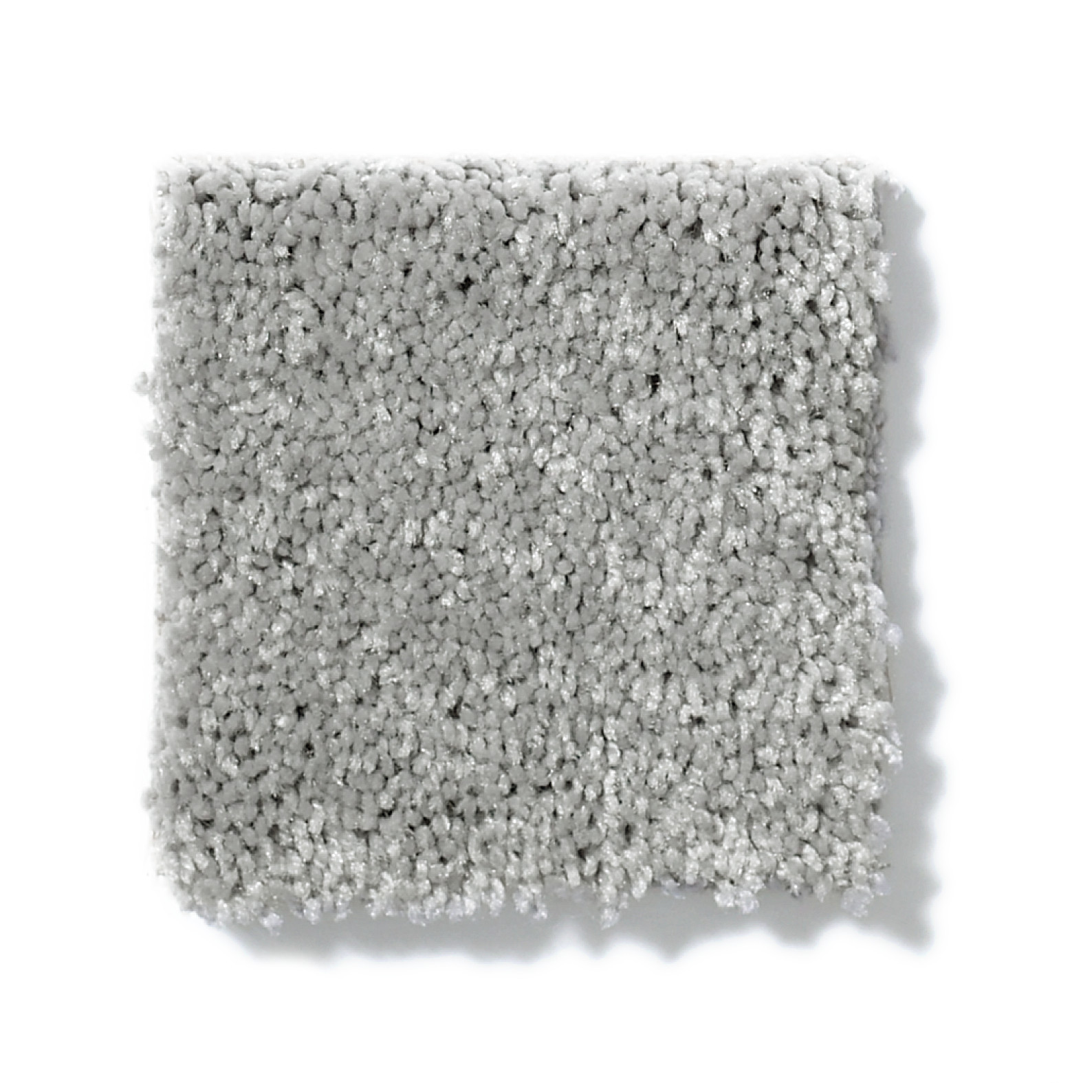 BEAUTIFULLY SIMPLE II 12 NICKEL SWATCH