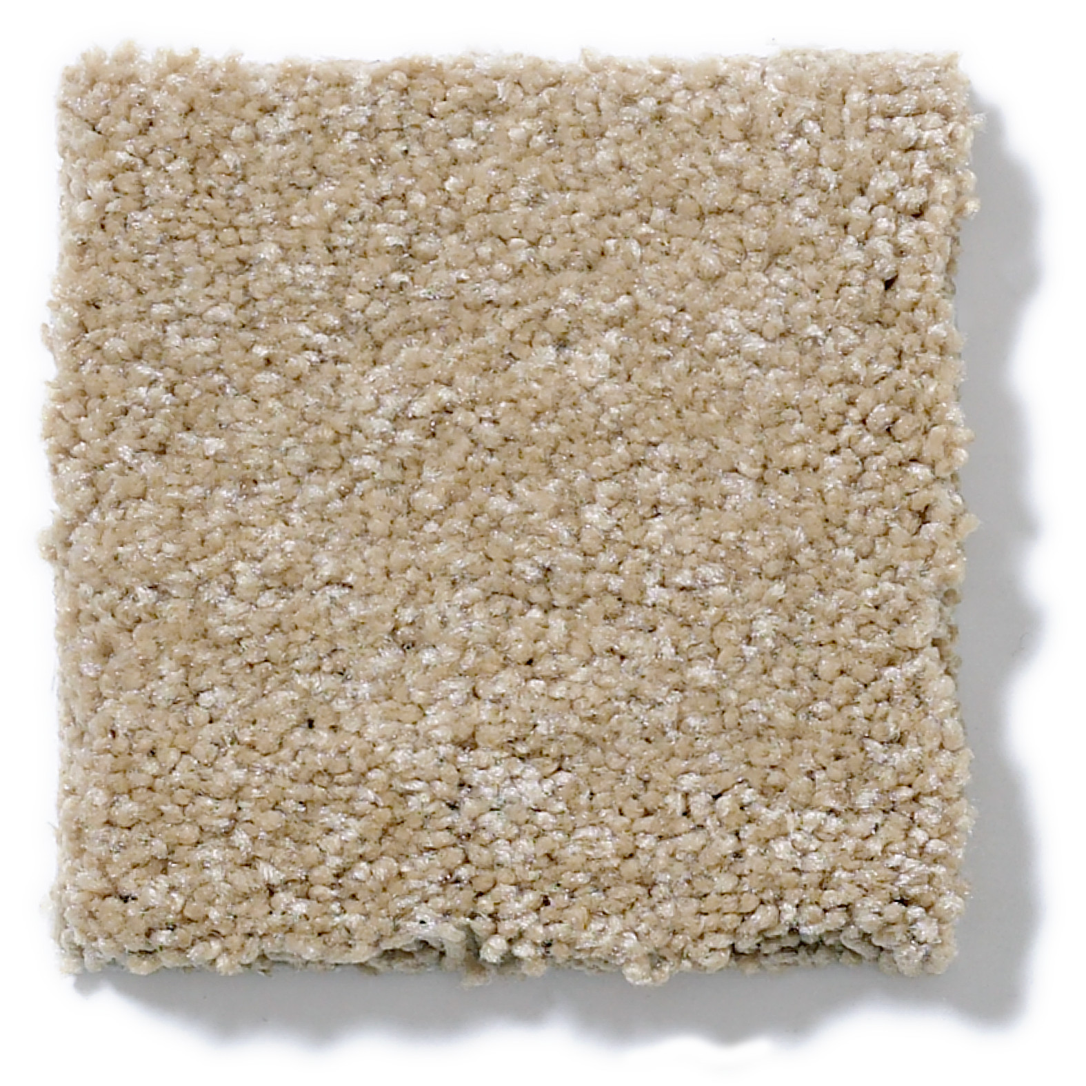 SWEET LIFE OAKWOOD SWATCH