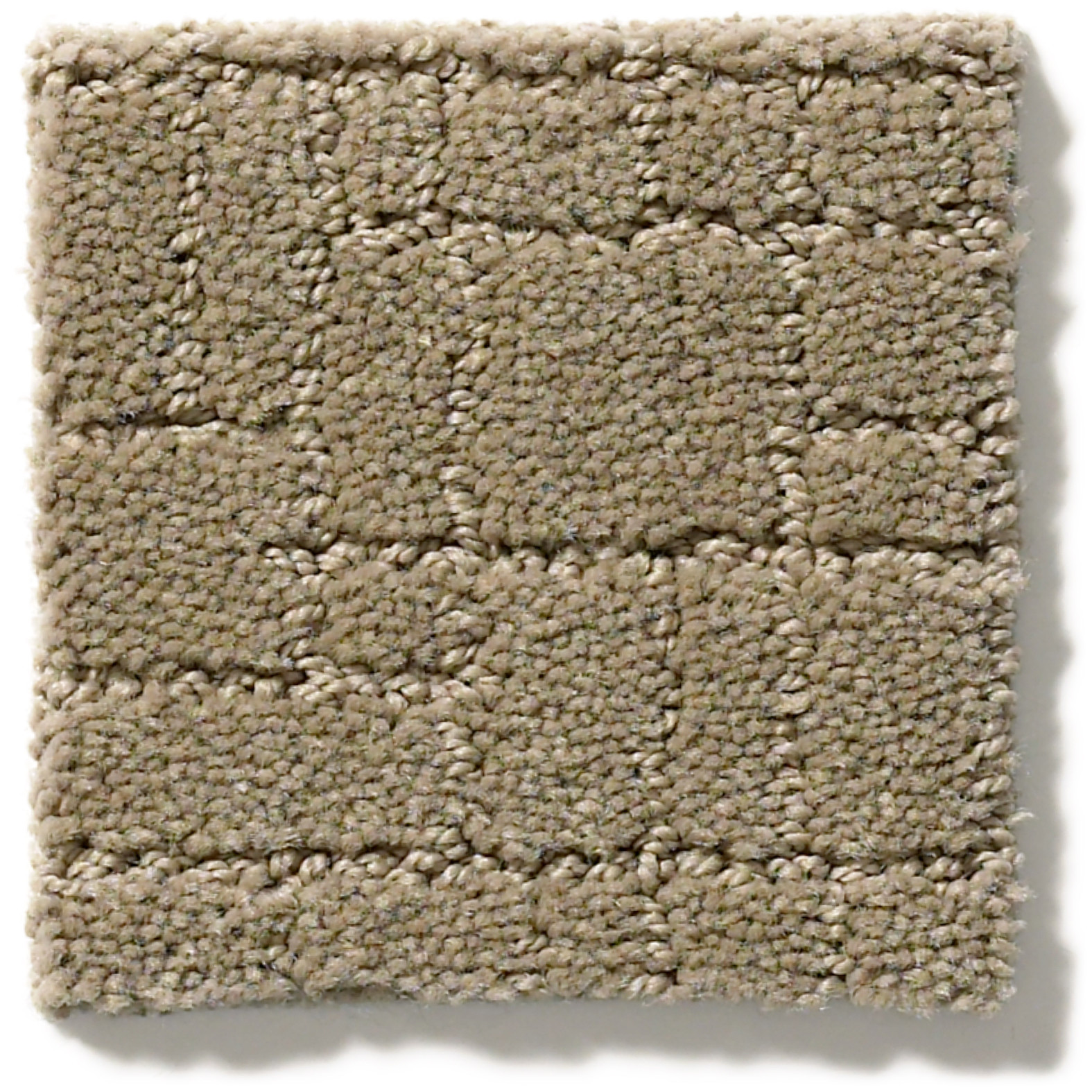 FAUX PAW DRIFTWOOD SWATCH